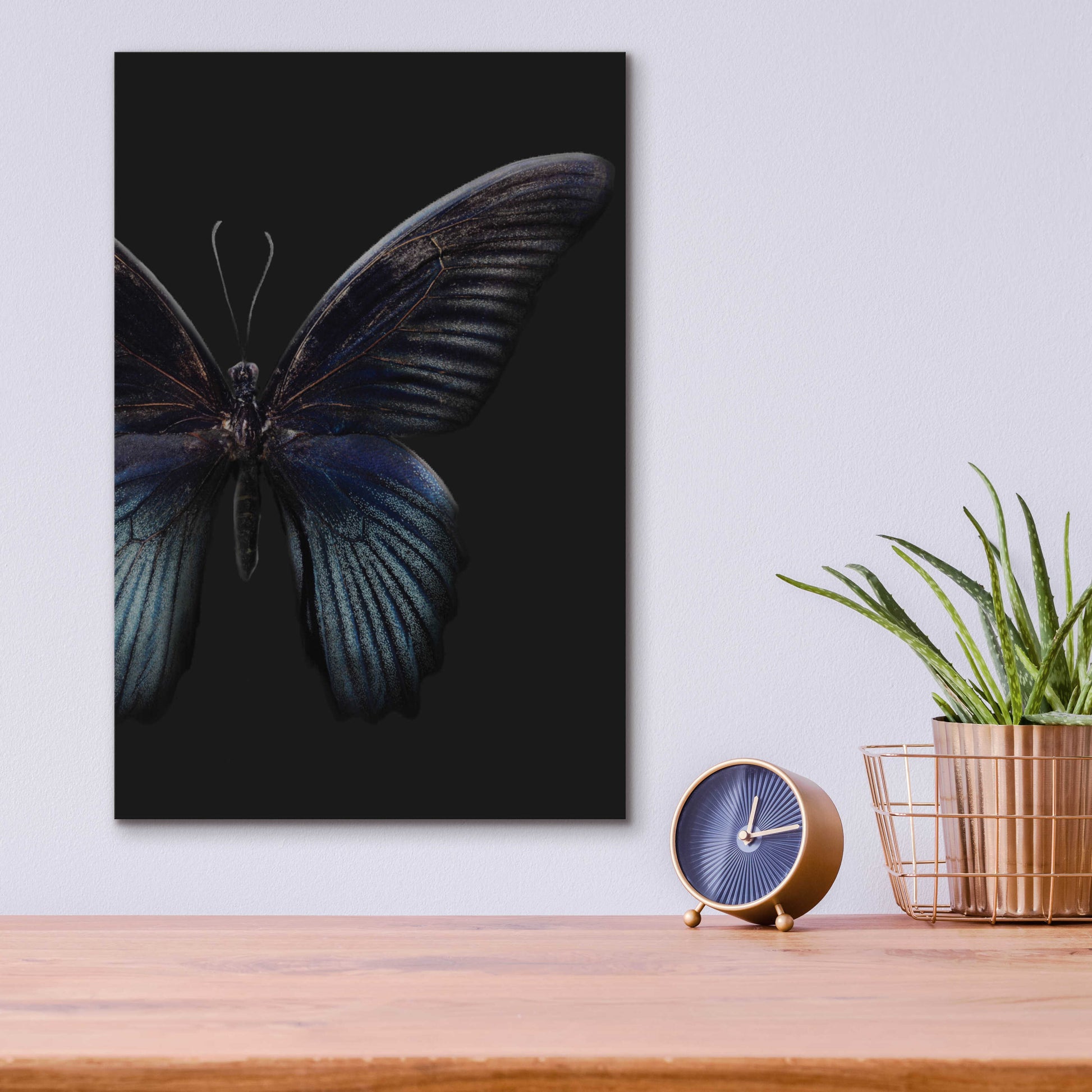 Epic Art 'Black Butterfly on Grey' by Design Fabrikken, Acrylic Glass Wall Art,12x16