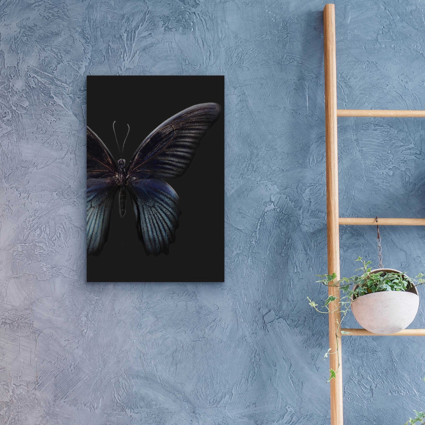 Epic Art 'Black Butterfly on Grey' by Design Fabrikken, Acrylic Glass Wall Art,16x24