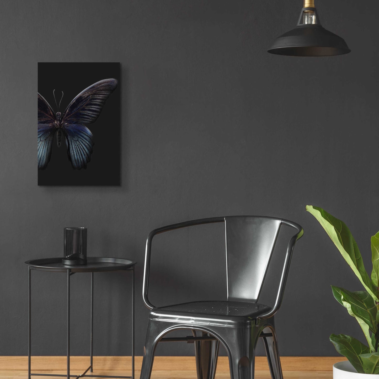 Epic Art 'Black Butterfly on Grey' by Design Fabrikken, Acrylic Glass Wall Art,16x24