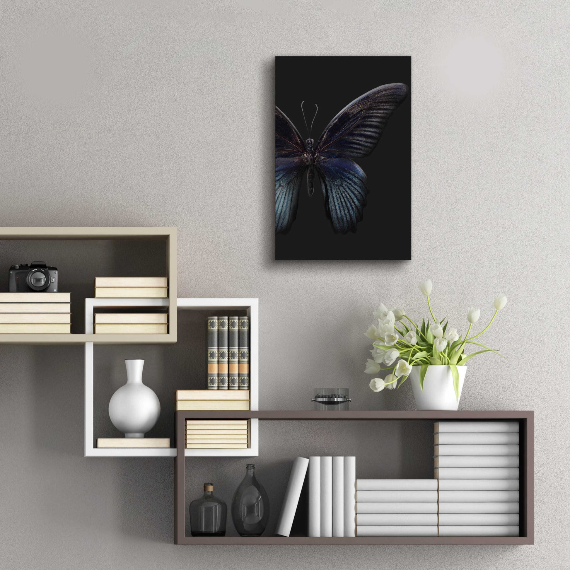 Epic Art 'Black Butterfly on Grey' by Design Fabrikken, Acrylic Glass Wall Art,16x24