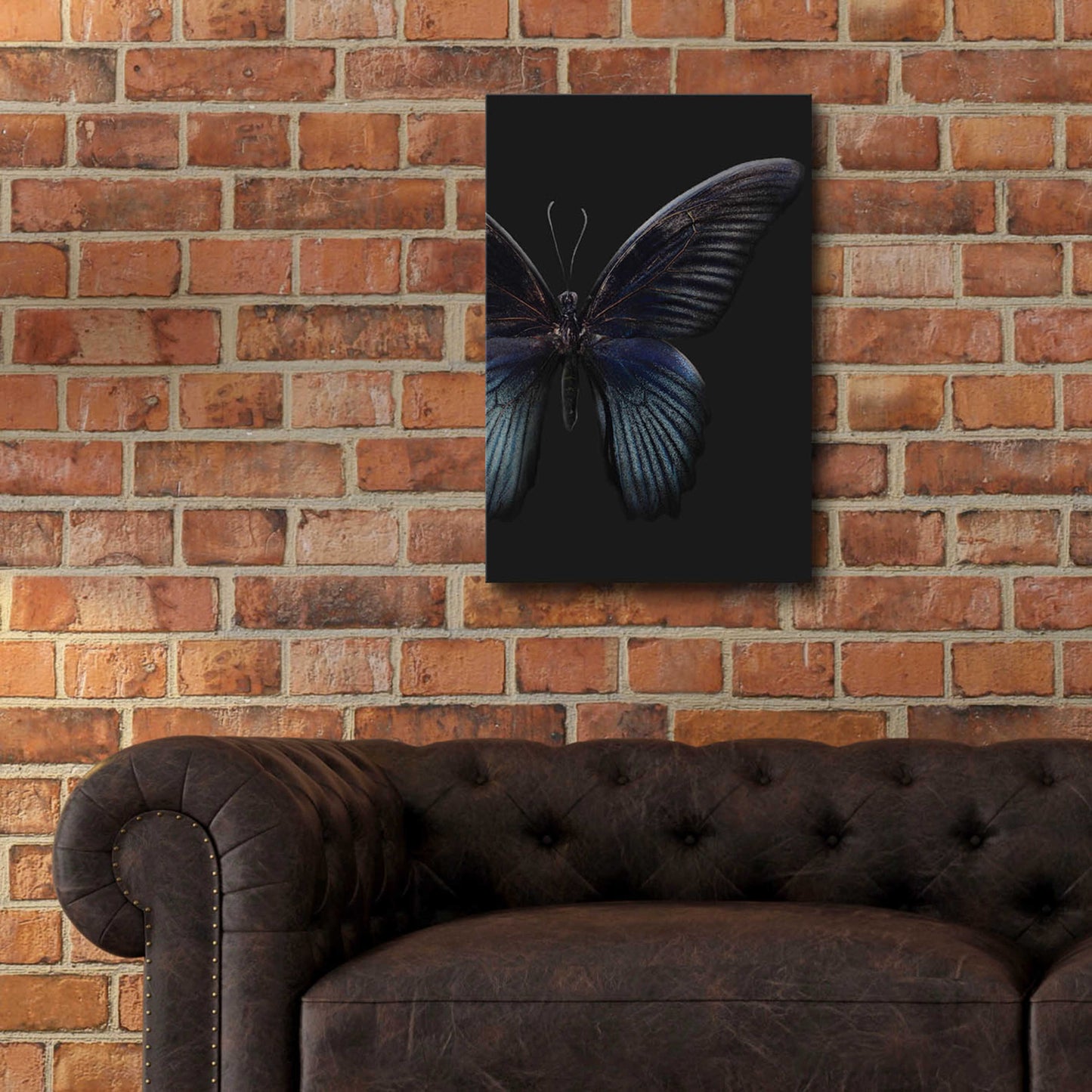 Epic Art 'Black Butterfly on Grey' by Design Fabrikken, Acrylic Glass Wall Art,16x24