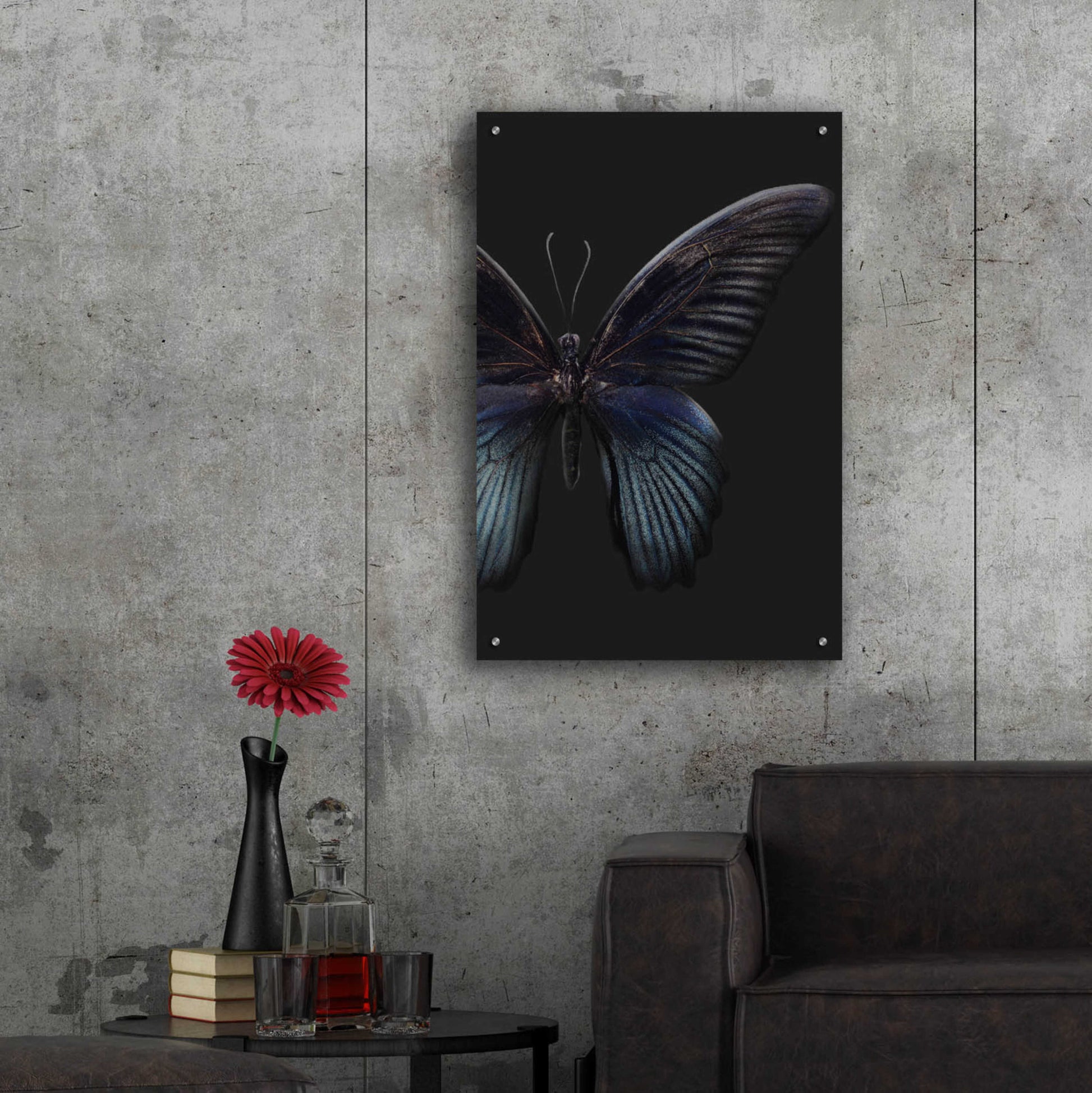 Epic Art 'Black Butterfly on Grey' by Design Fabrikken, Acrylic Glass Wall Art,24x36