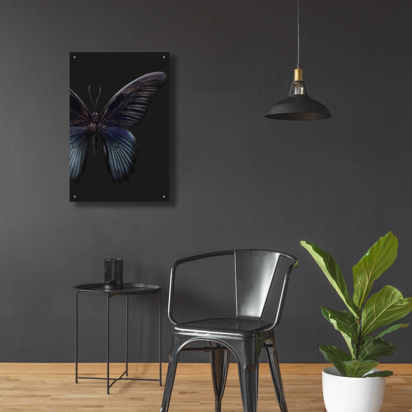 Epic Art 'Black Butterfly on Grey' by Design Fabrikken, Acrylic Glass Wall Art,24x36