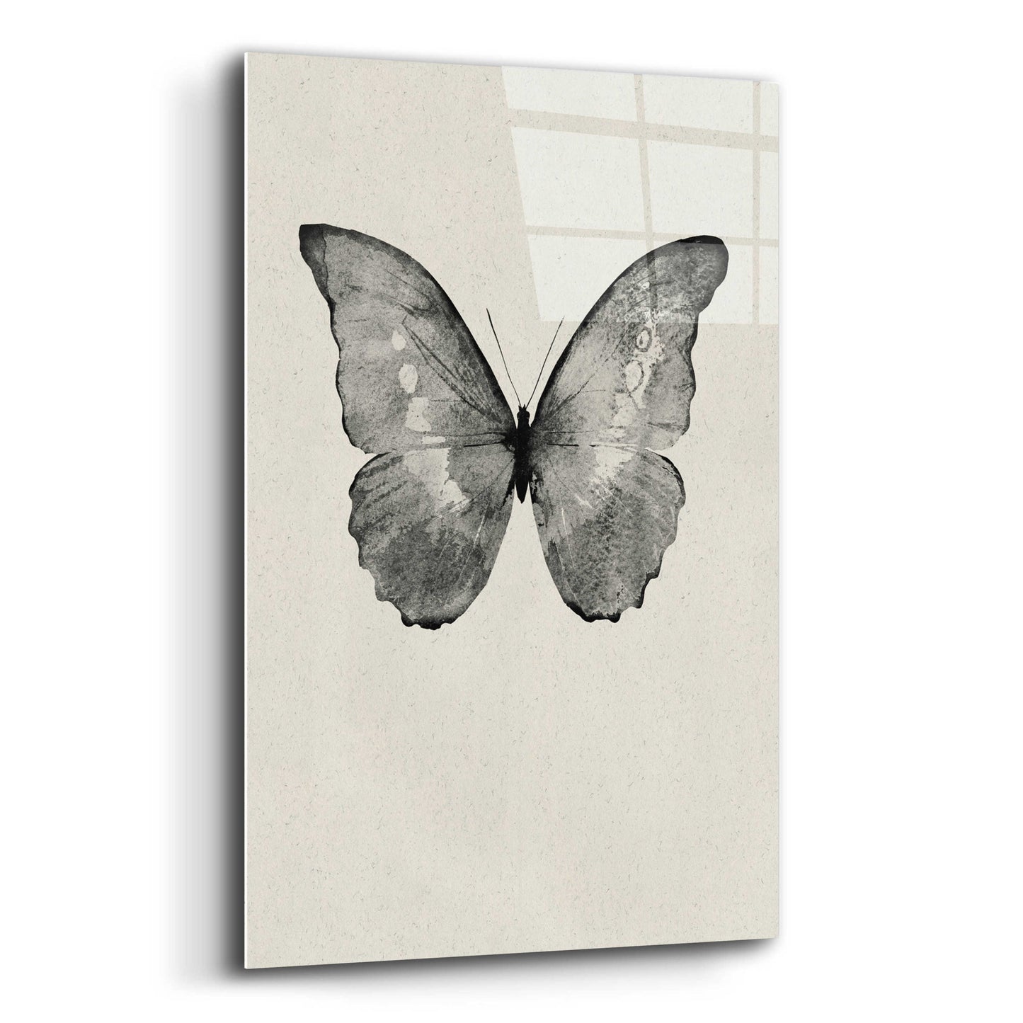 Epic Art 'Black Butterfly on Tan' by Design Fabrikken, Acrylic Glass Wall Art,12x16