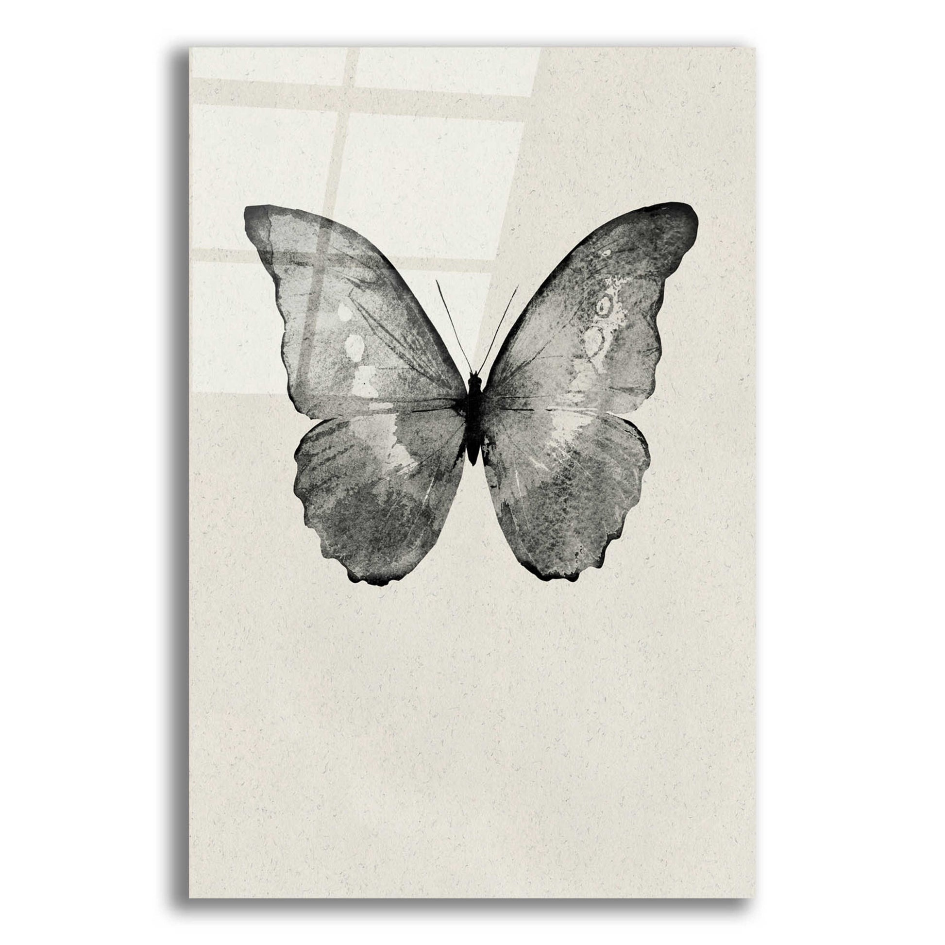 Epic Art 'Black Butterfly on Tan' by Design Fabrikken, Acrylic Glass Wall Art,12x16