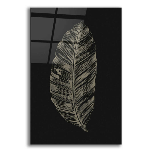 Epic Art 'Black Leaf' by Design Fabrikken, Acrylic Glass Wall Art