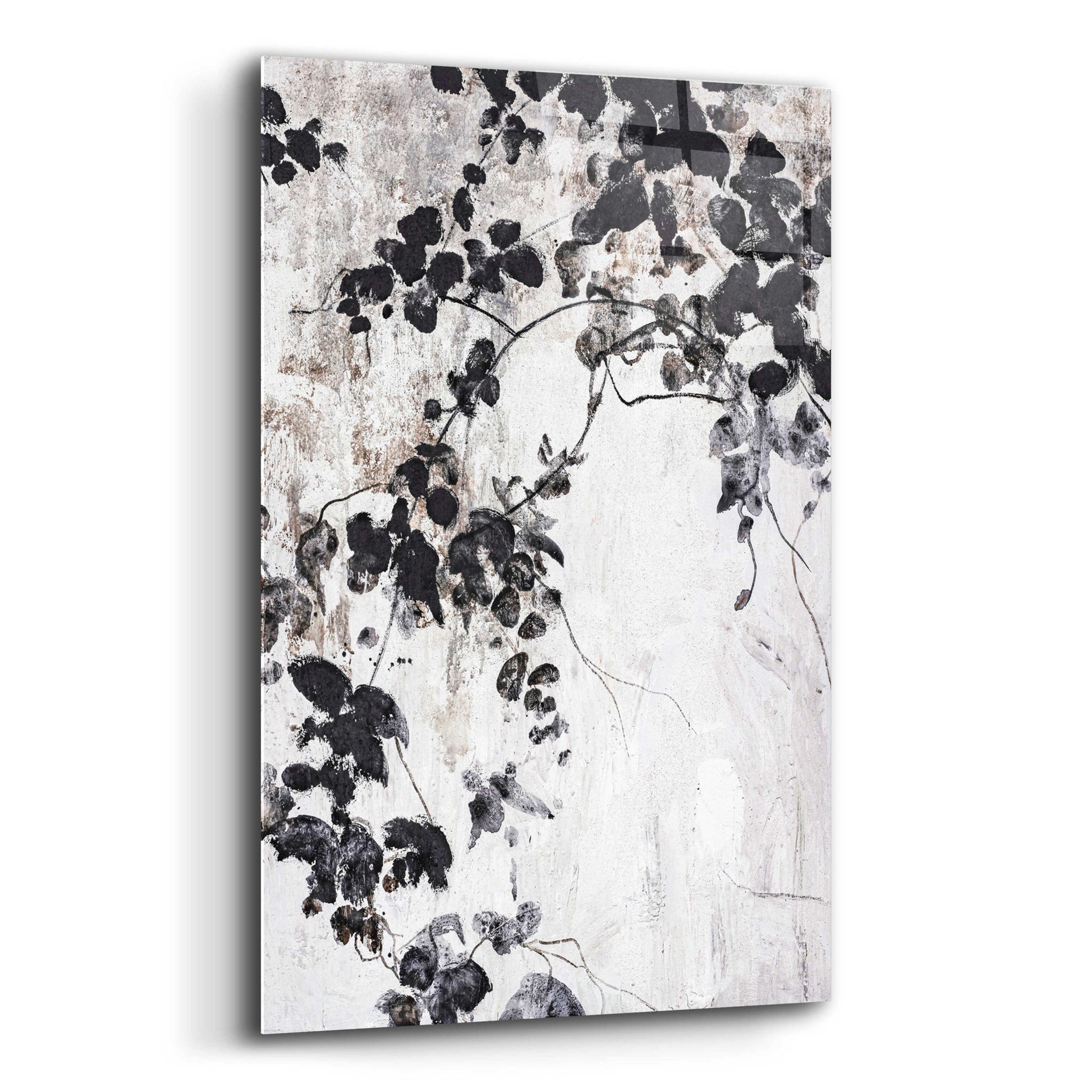 Epic Art 'Black Leaves' by Design Fabrikken, Acrylic Glass Wall Art,12x16