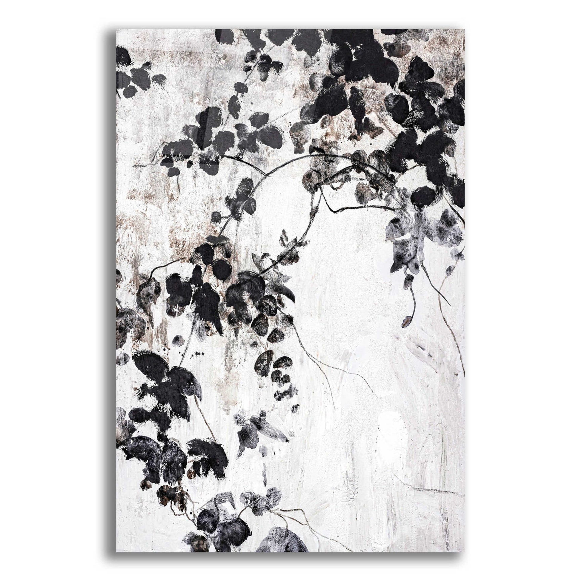 Epic Art 'Black Leaves' by Design Fabrikken, Acrylic Glass Wall Art,12x16