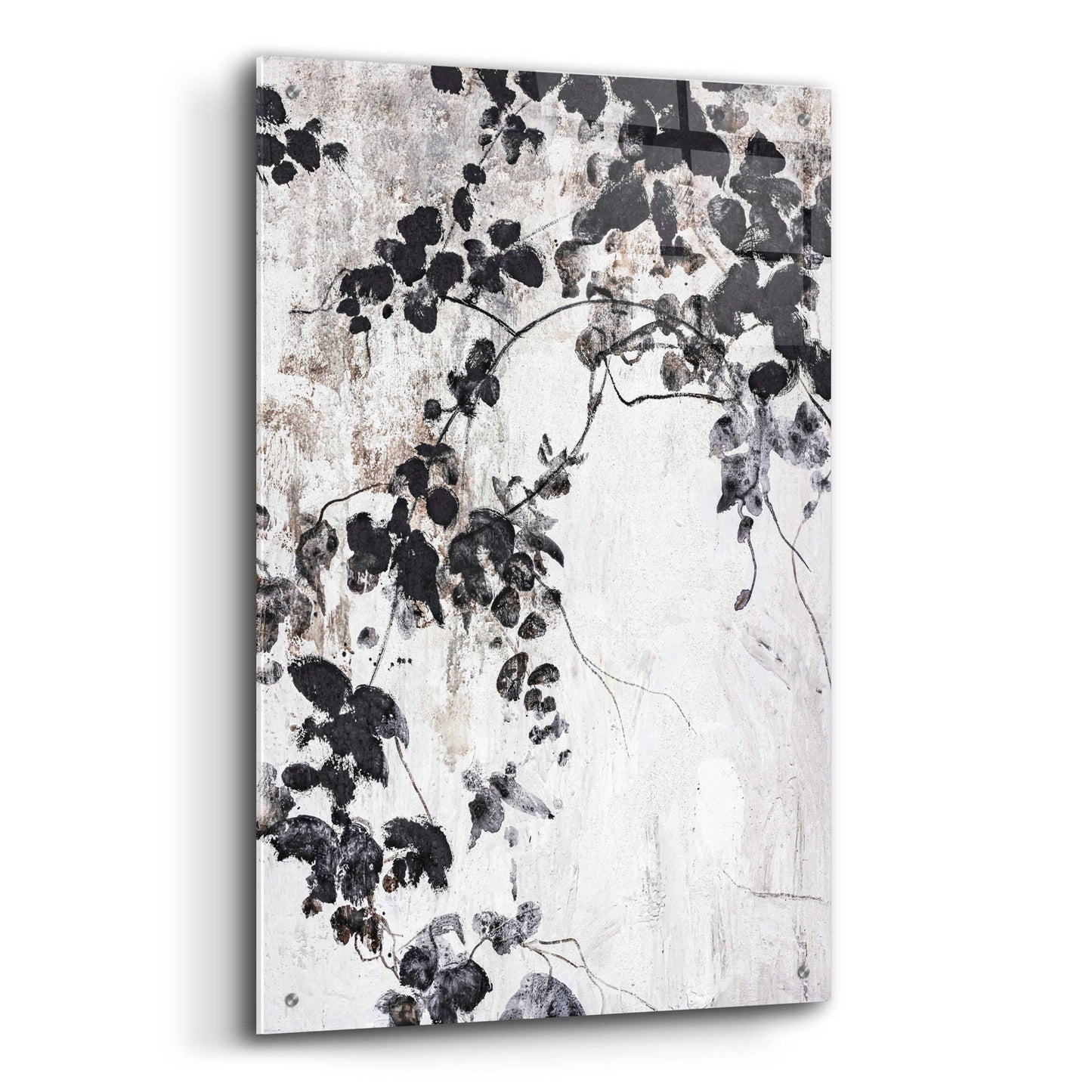 Epic Art 'Black Leaves' by Design Fabrikken, Acrylic Glass Wall Art,24x36