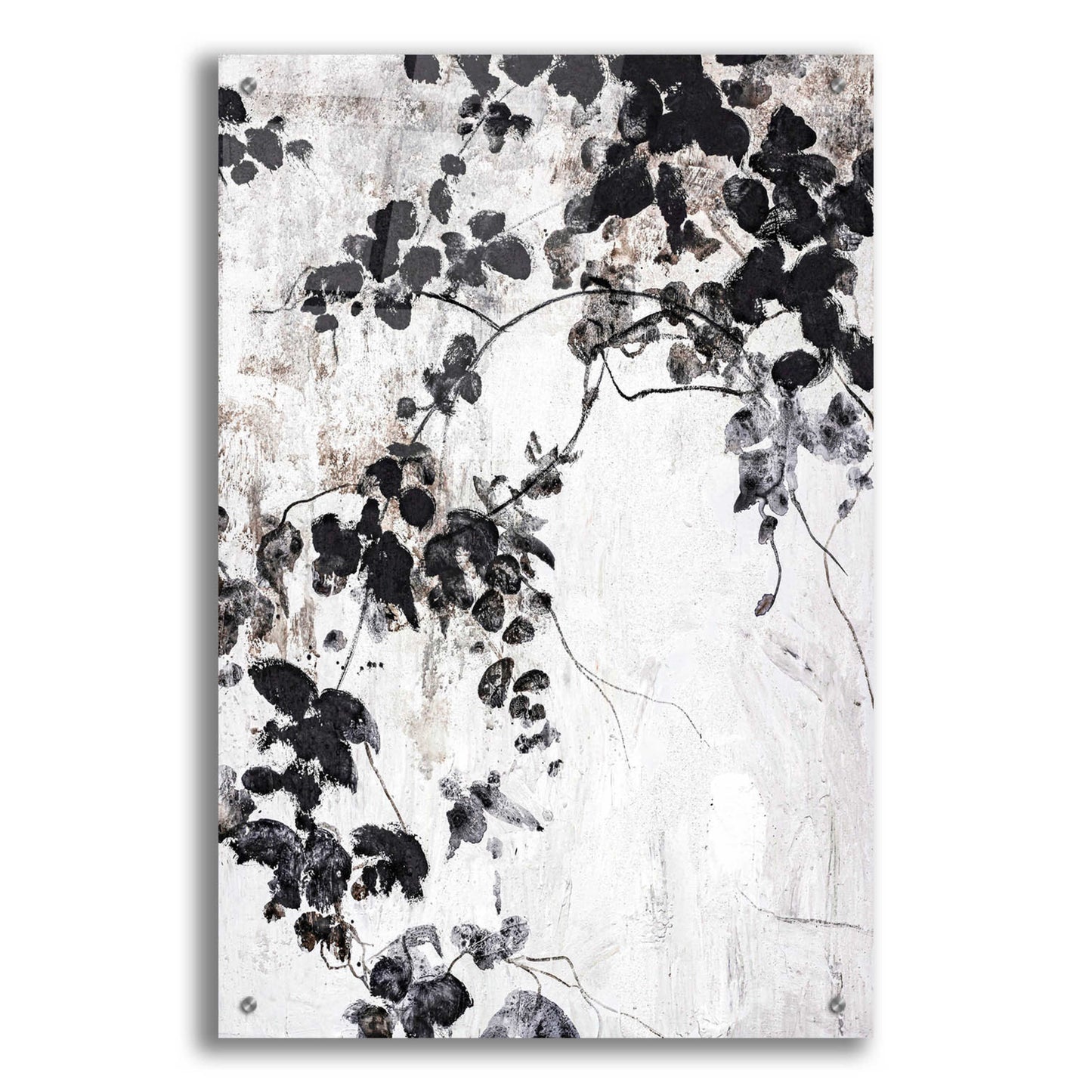 Epic Art 'Black Leaves' by Design Fabrikken, Acrylic Glass Wall Art,24x36