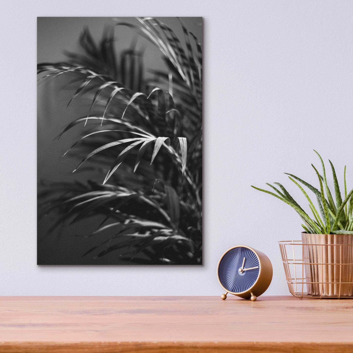 Epic Art 'Black Plant' by Design Fabrikken, Acrylic Glass Wall Art,12x16