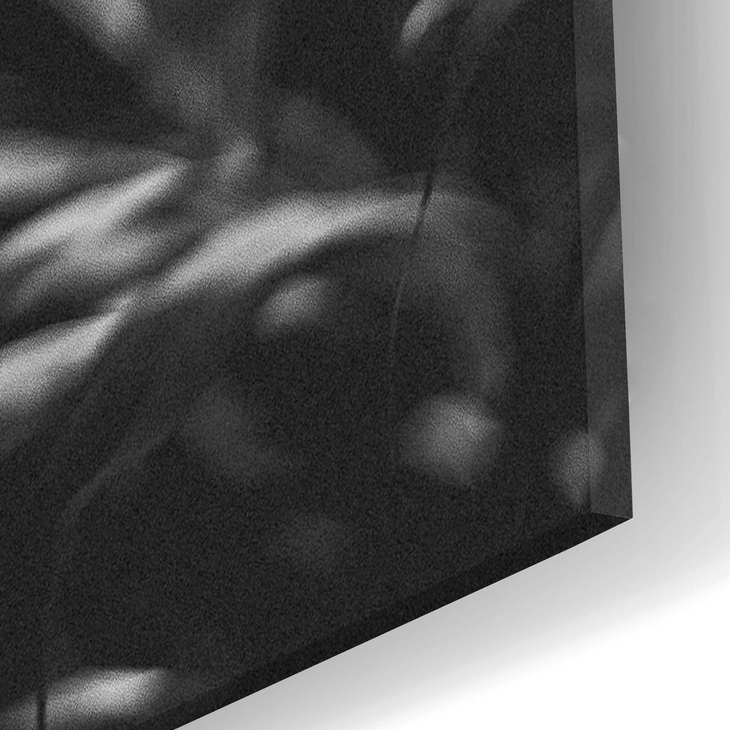 Epic Art 'Black Plant' by Design Fabrikken, Acrylic Glass Wall Art,16x24