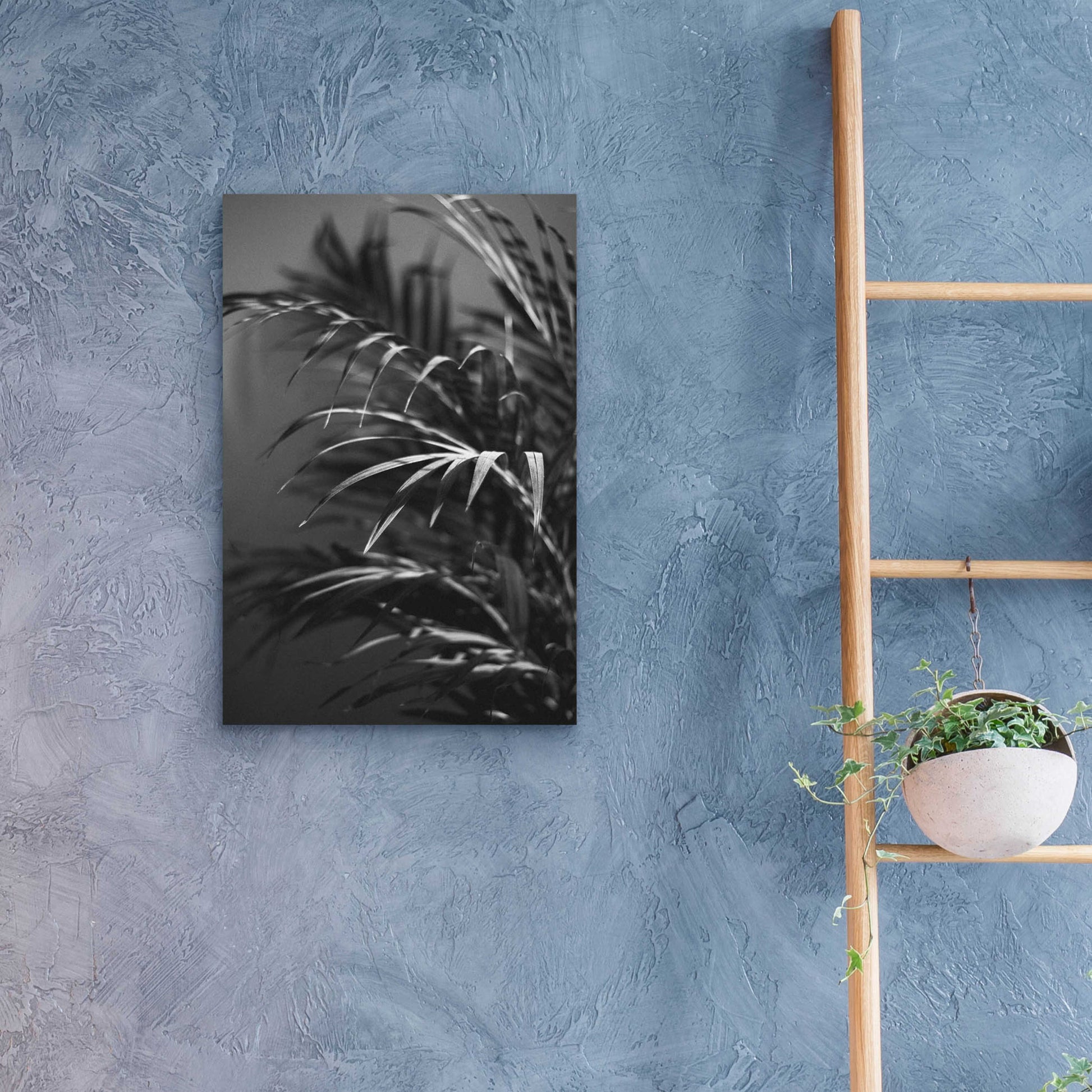 Epic Art 'Black Plant' by Design Fabrikken, Acrylic Glass Wall Art,16x24