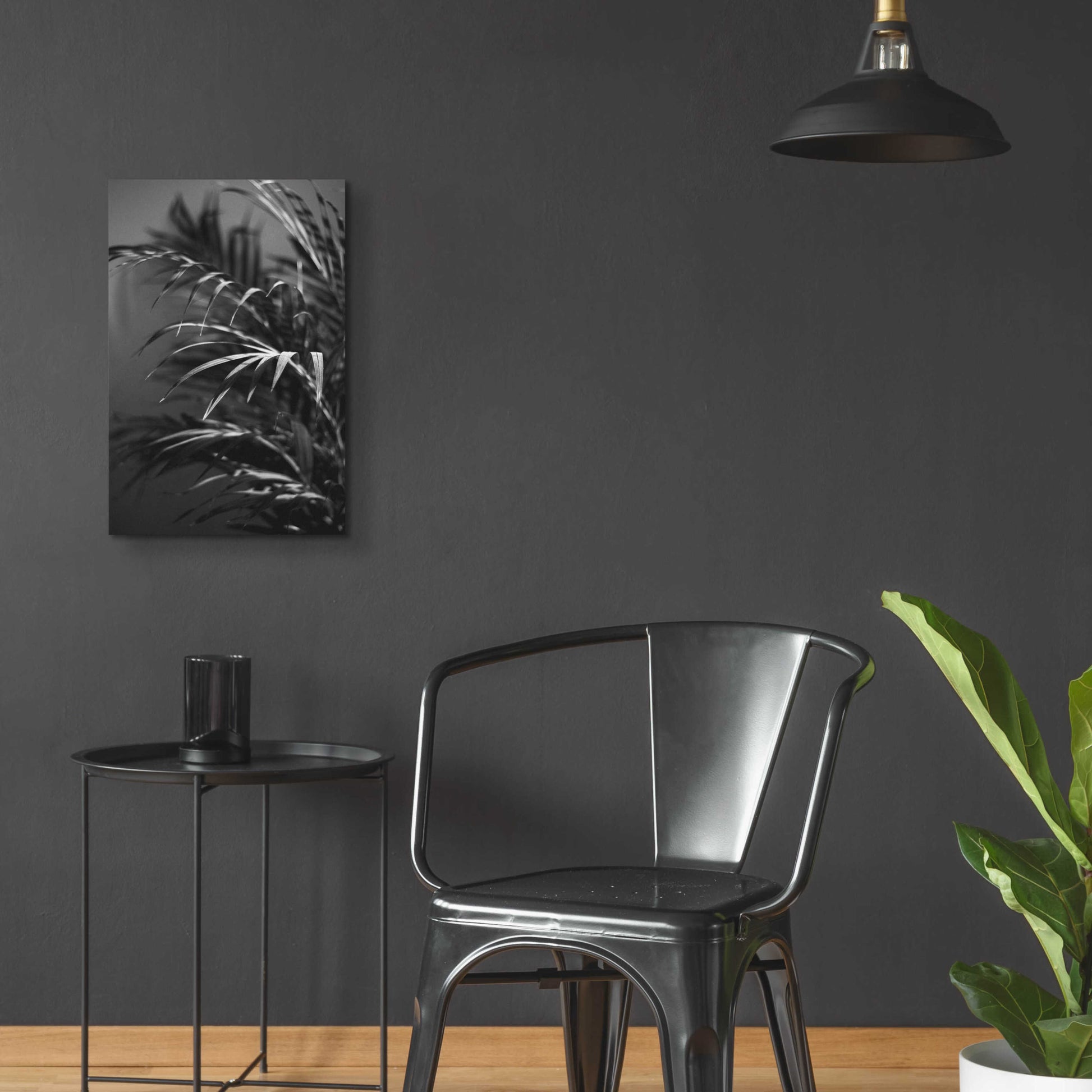 Epic Art 'Black Plant' by Design Fabrikken, Acrylic Glass Wall Art,16x24