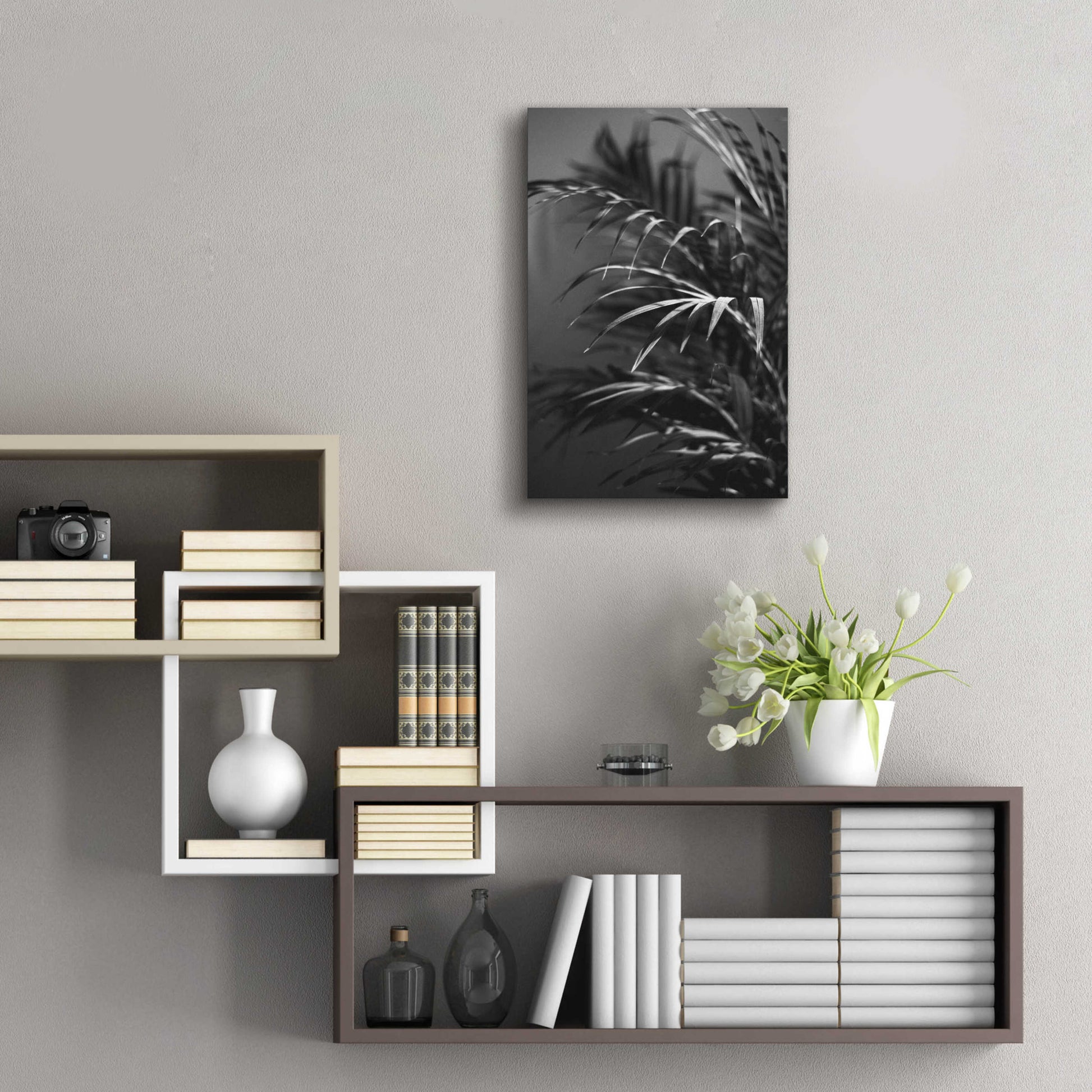 Epic Art 'Black Plant' by Design Fabrikken, Acrylic Glass Wall Art,16x24