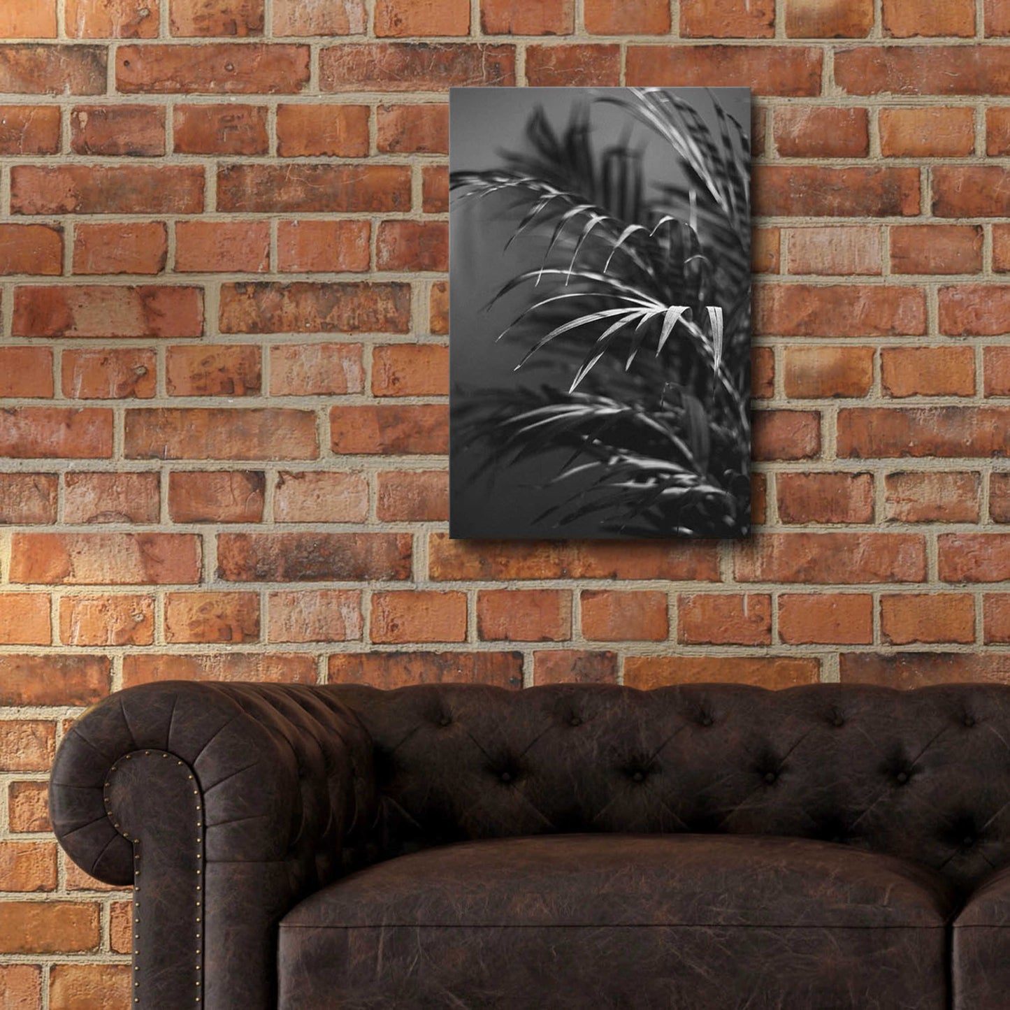 Epic Art 'Black Plant' by Design Fabrikken, Acrylic Glass Wall Art,16x24