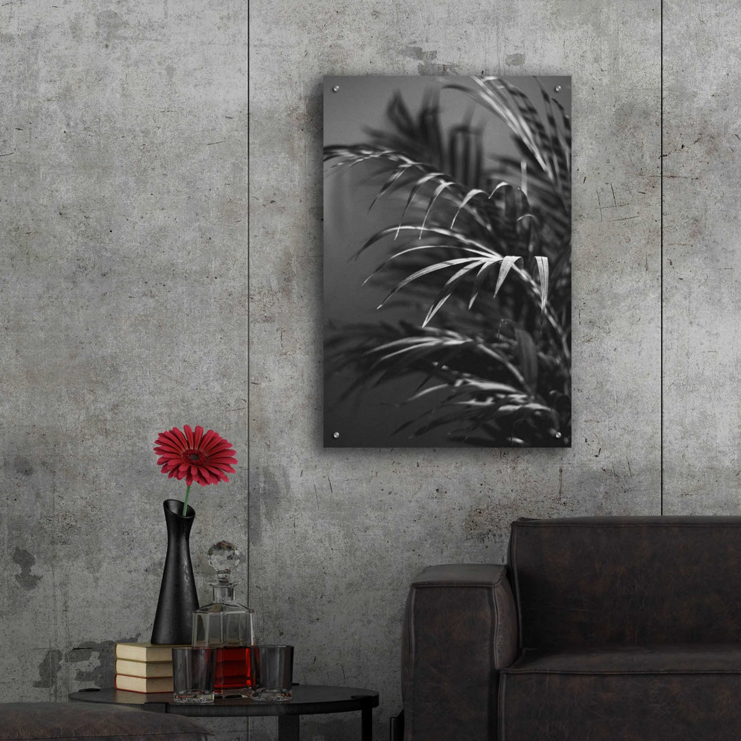 Epic Art 'Black Plant' by Design Fabrikken, Acrylic Glass Wall Art,24x36