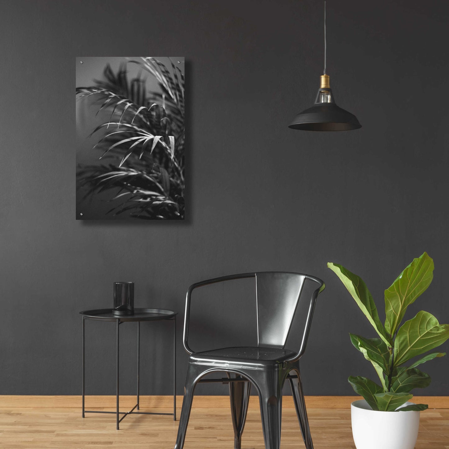 Epic Art 'Black Plant' by Design Fabrikken, Acrylic Glass Wall Art,24x36