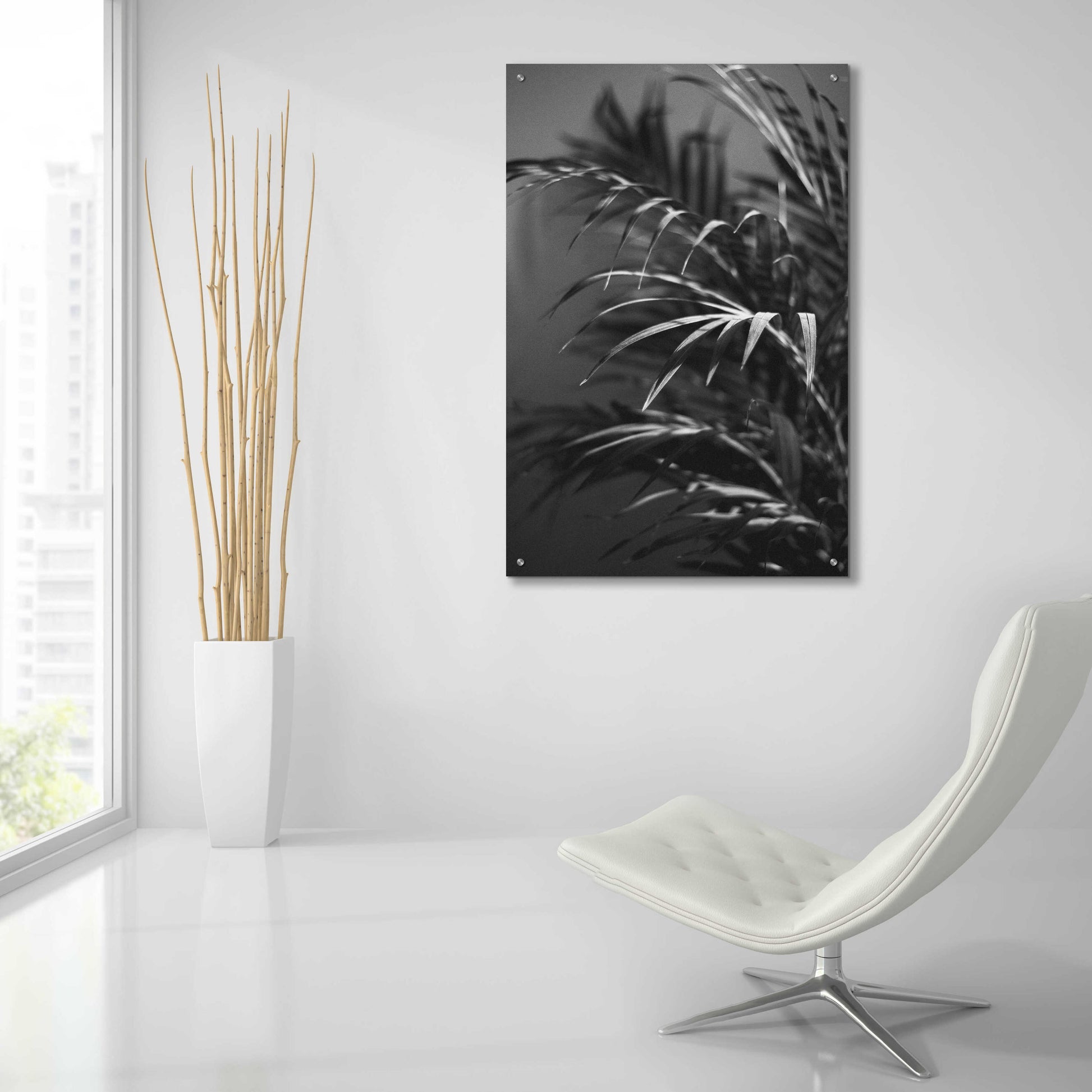 Epic Art 'Black Plant' by Design Fabrikken, Acrylic Glass Wall Art,24x36