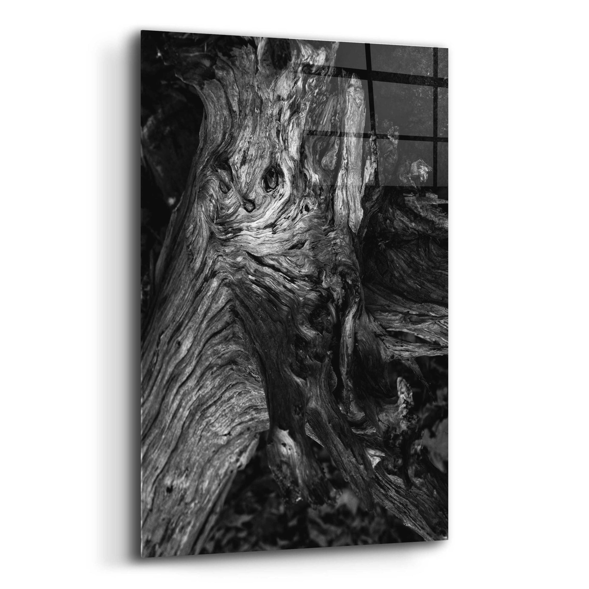 Epic Art 'Black Wood' by Design Fabrikken, Acrylic Glass Wall Art,12x16