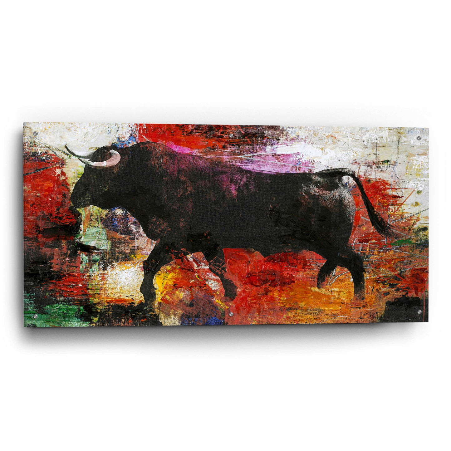 Epic Art 'Bull' by Design Fabrikken, Acrylic Glass Wall Art,48x24