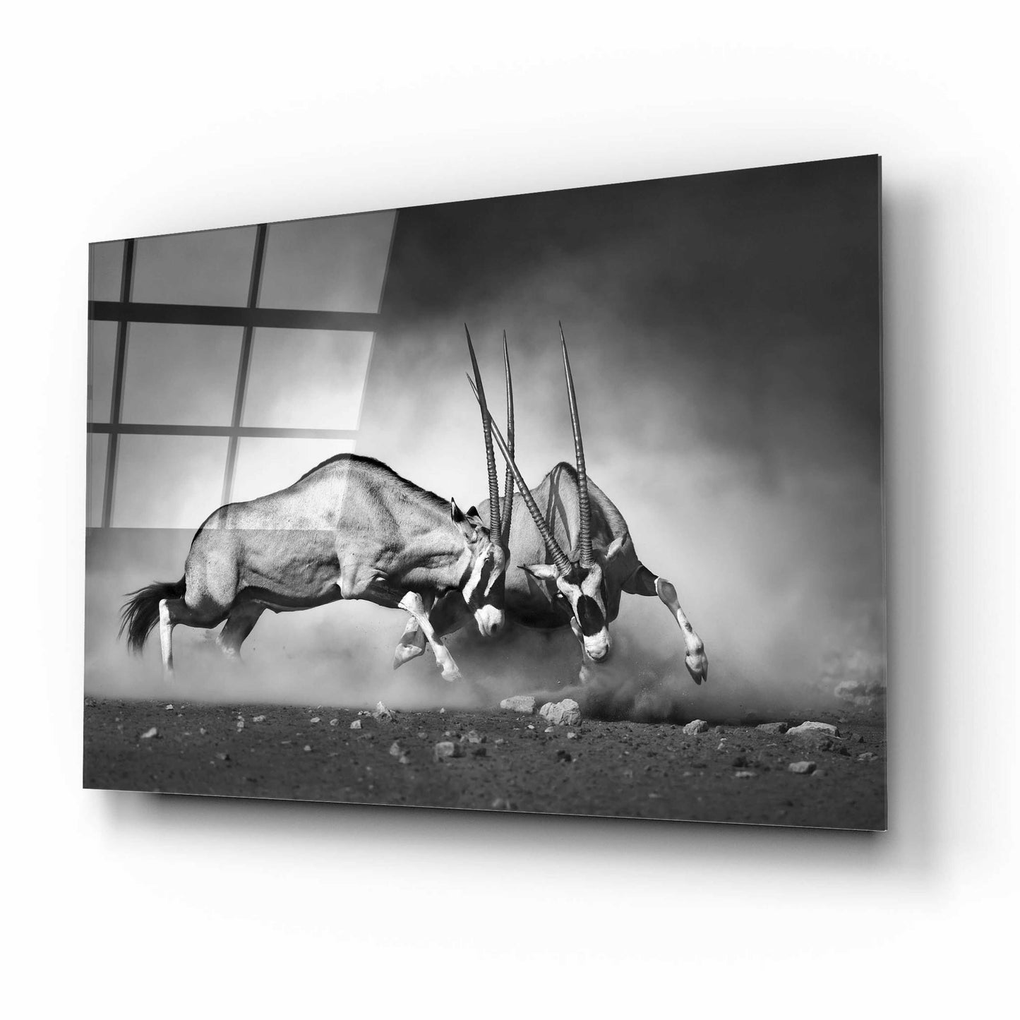 Epic Art 'Combat' by Design Fabrikken, Acrylic Glass Wall Art,16x12