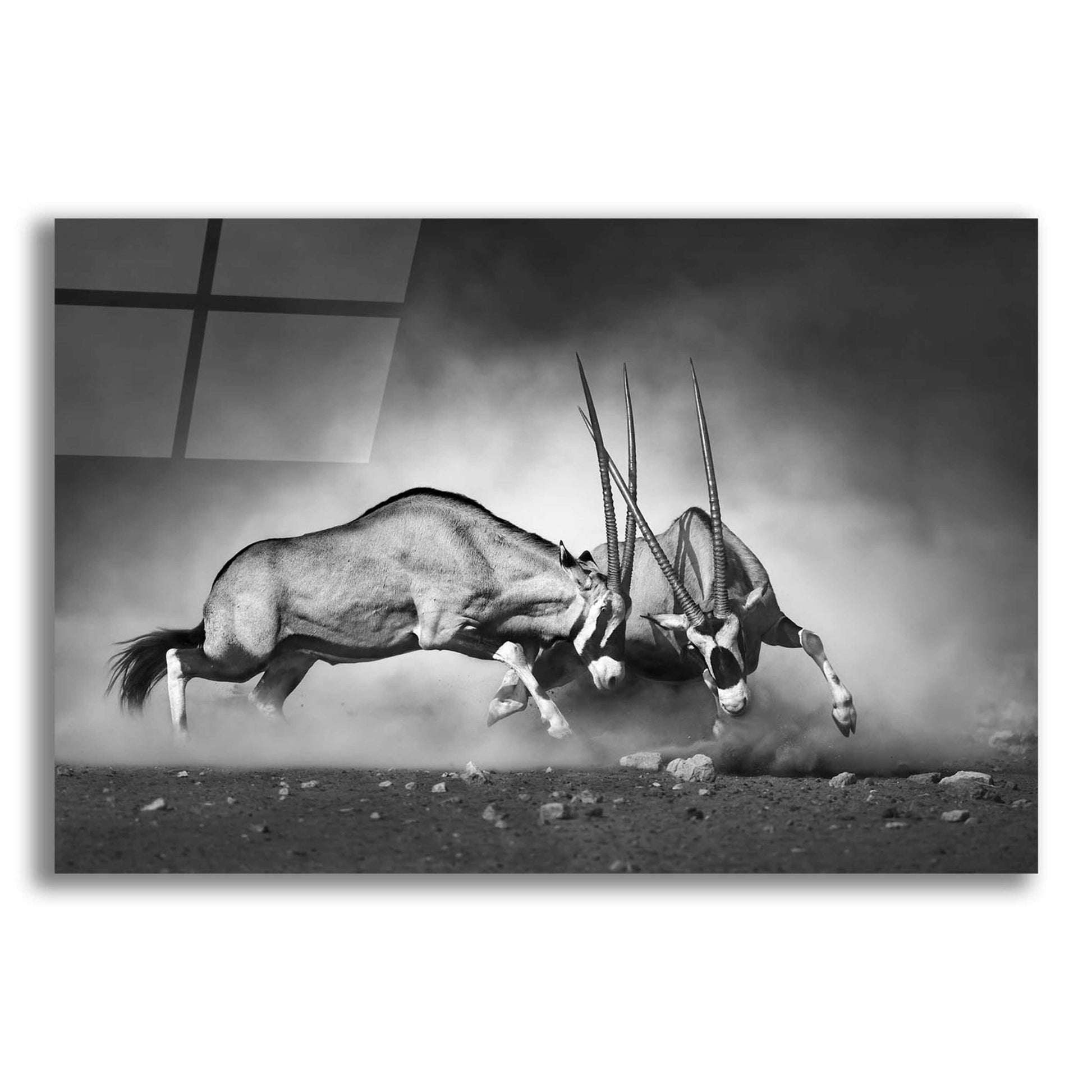 Epic Art 'Combat' by Design Fabrikken, Acrylic Glass Wall Art,16x12