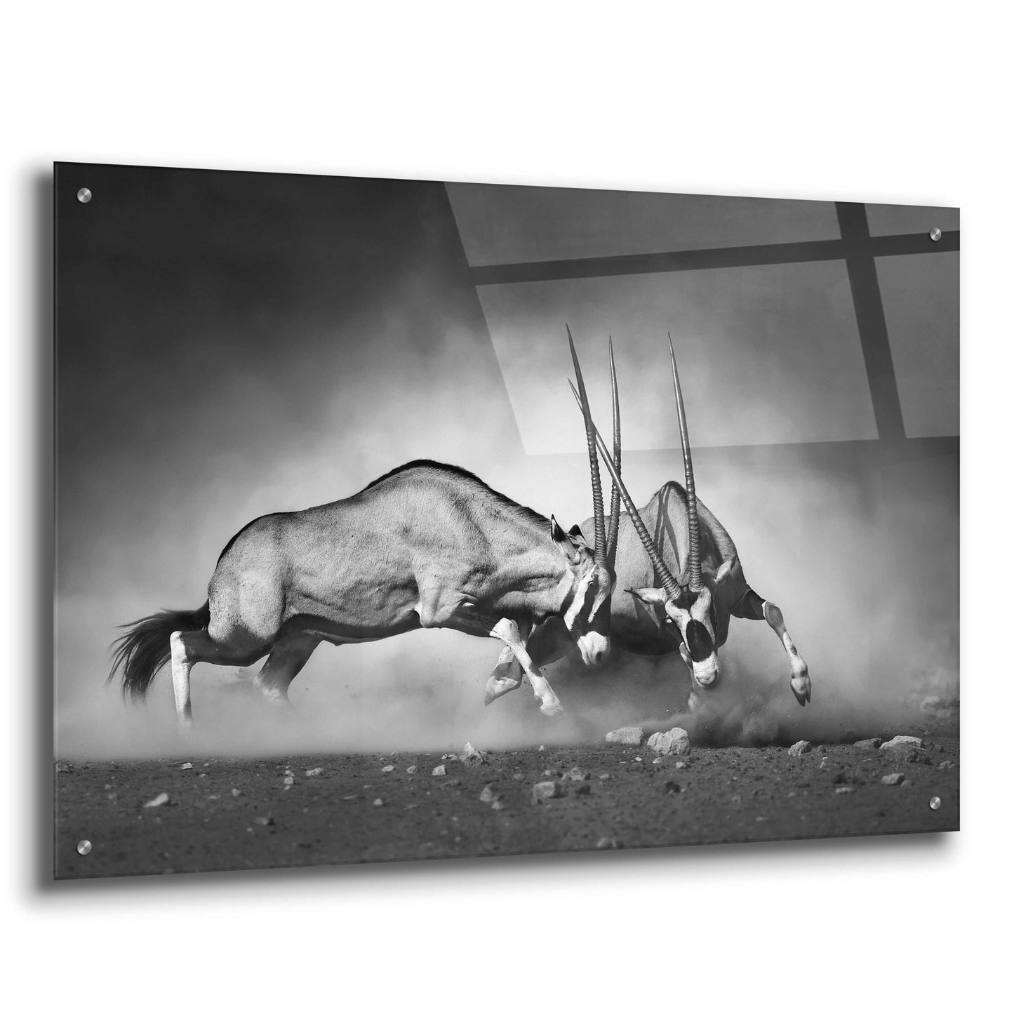 Epic Art 'Combat' by Design Fabrikken, Acrylic Glass Wall Art,36x24