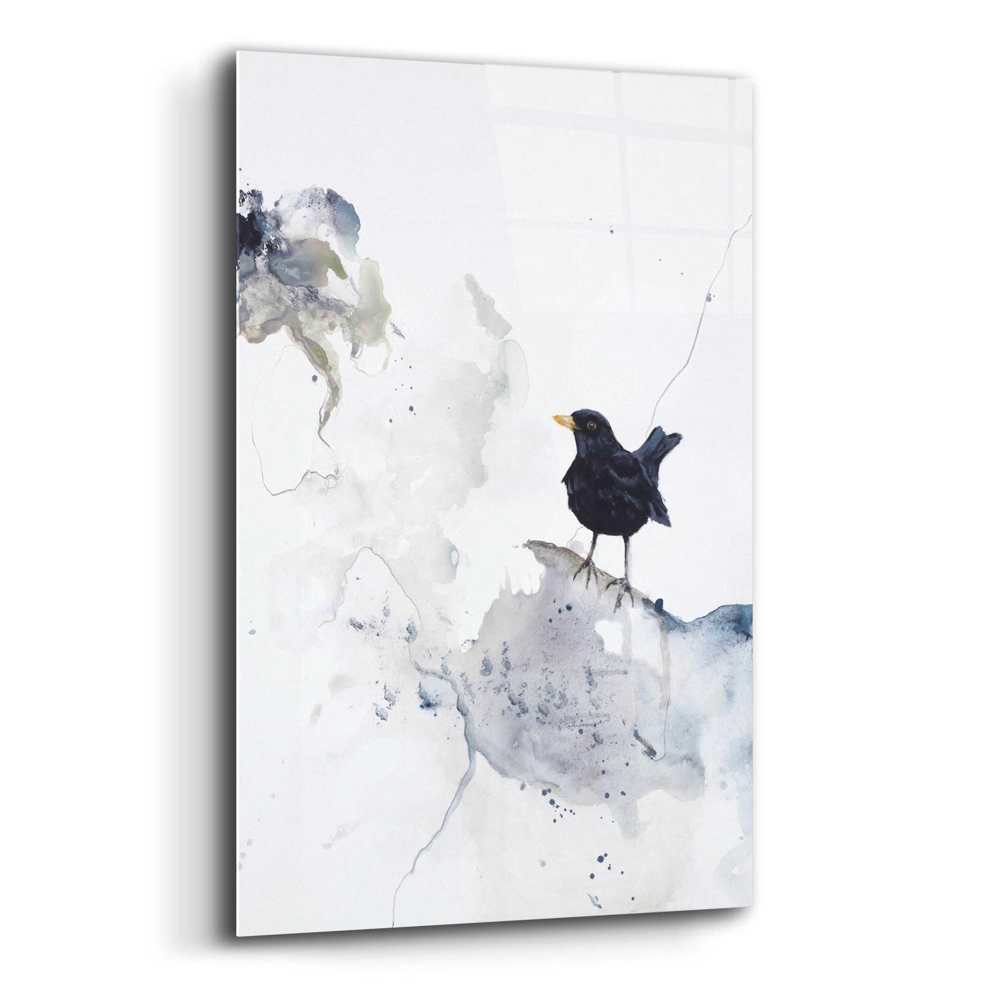 Epic Art 'Curiosity 2' by Design Fabrikken, Acrylic Glass Wall Art,12x16