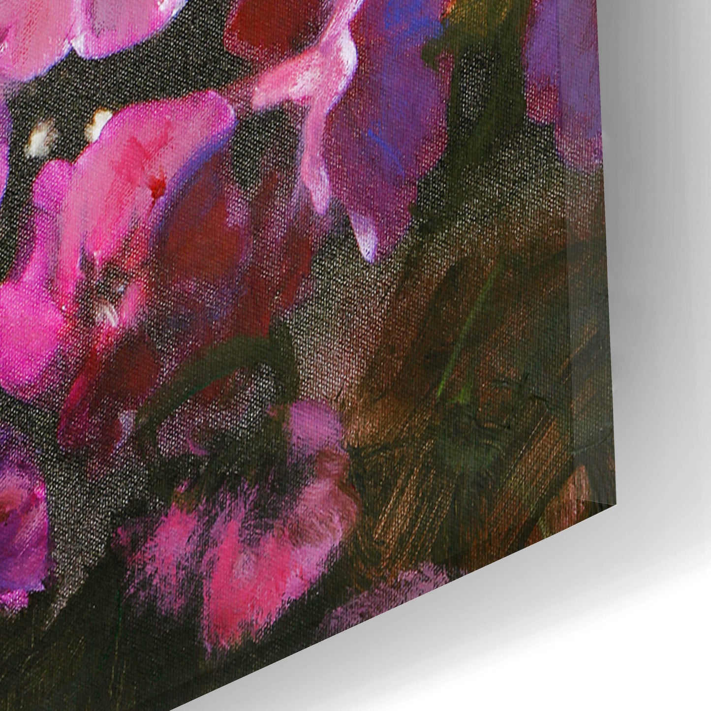 Epic Art 'Dark Blossom' by Design Fabrikken, Acrylic Glass Wall Art,16x24