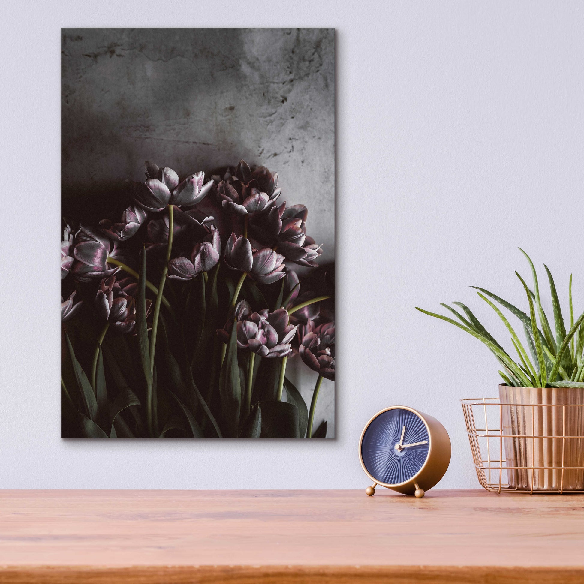 Epic Art 'Dark Tulips' by Design Fabrikken, Acrylic Glass Wall Art,12x16