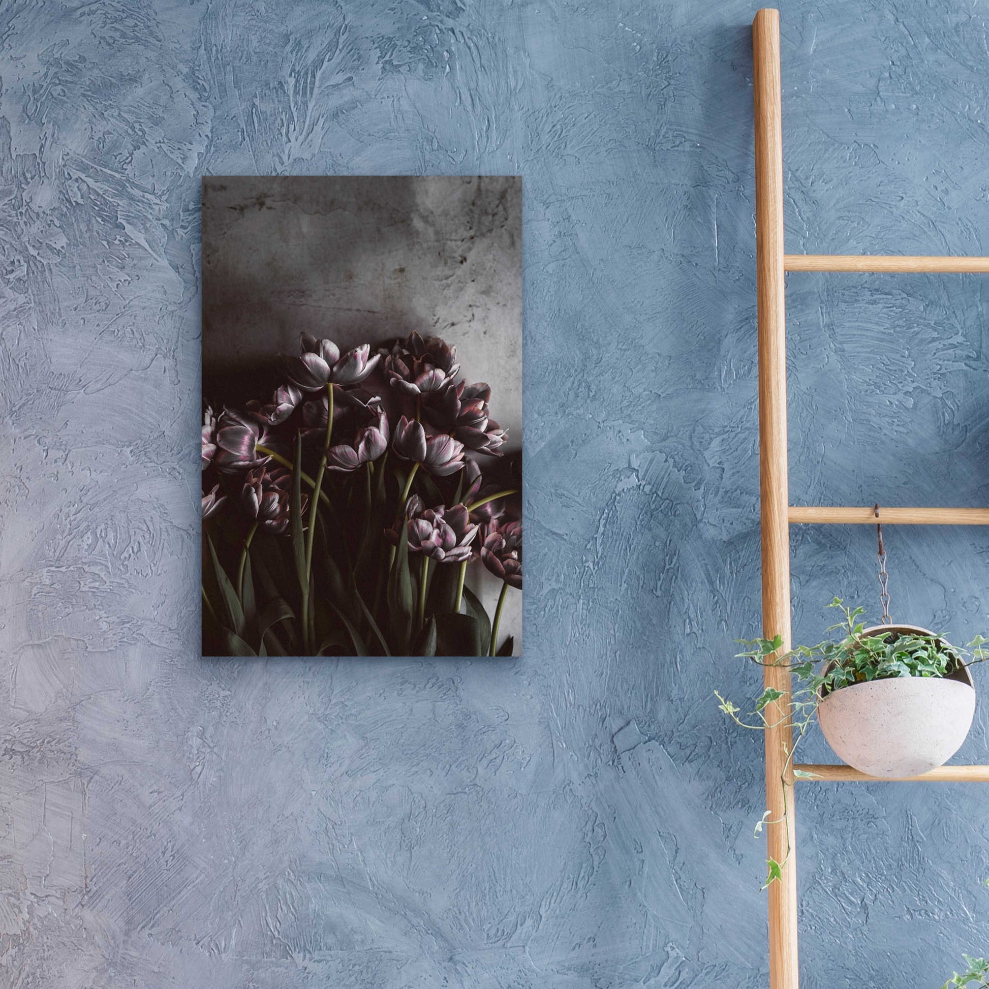 Epic Art 'Dark Tulips' by Design Fabrikken, Acrylic Glass Wall Art,16x24