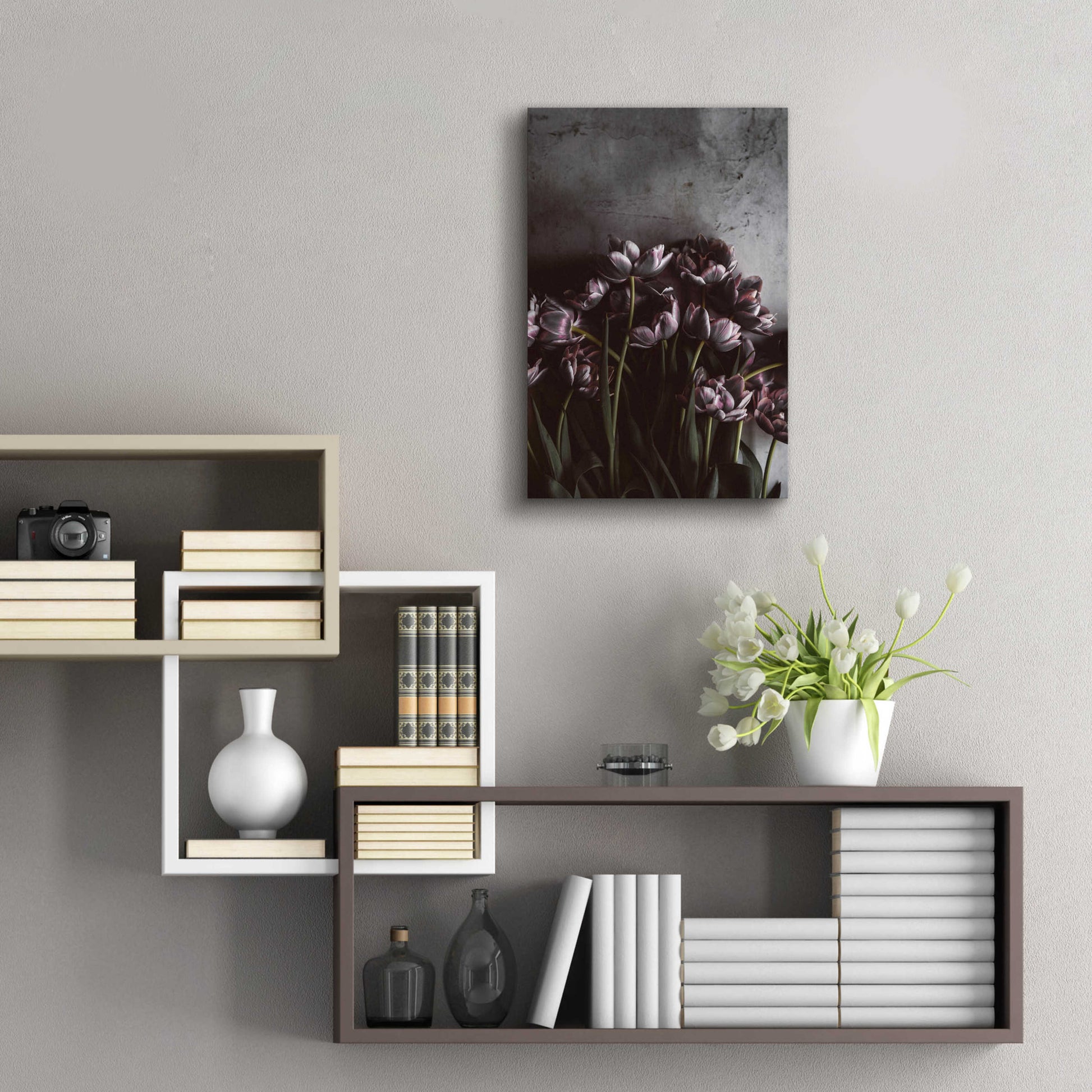 Epic Art 'Dark Tulips' by Design Fabrikken, Acrylic Glass Wall Art,16x24