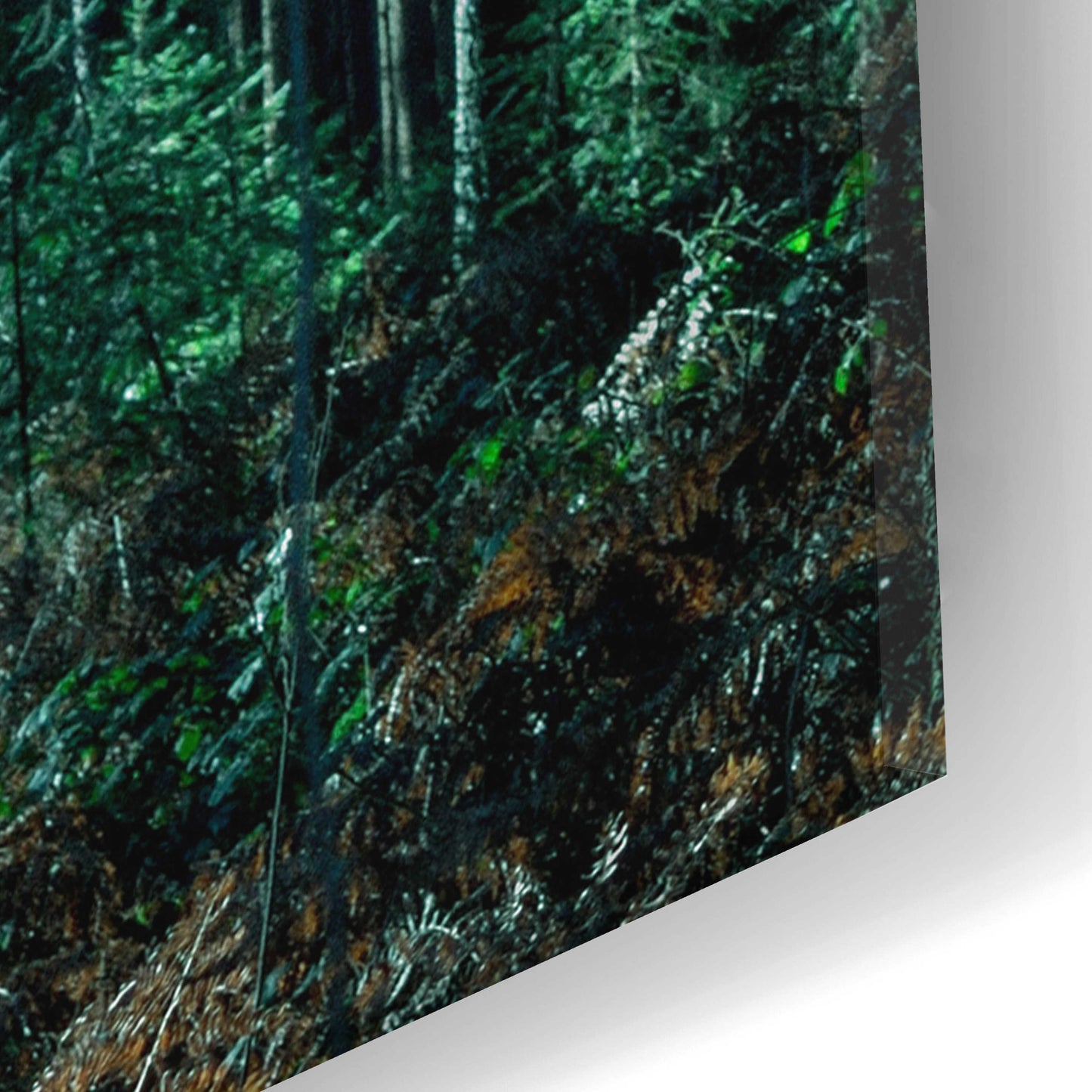 Epic Art 'Deep Green' by Design Fabrikken, Acrylic Glass Wall Art,16x24