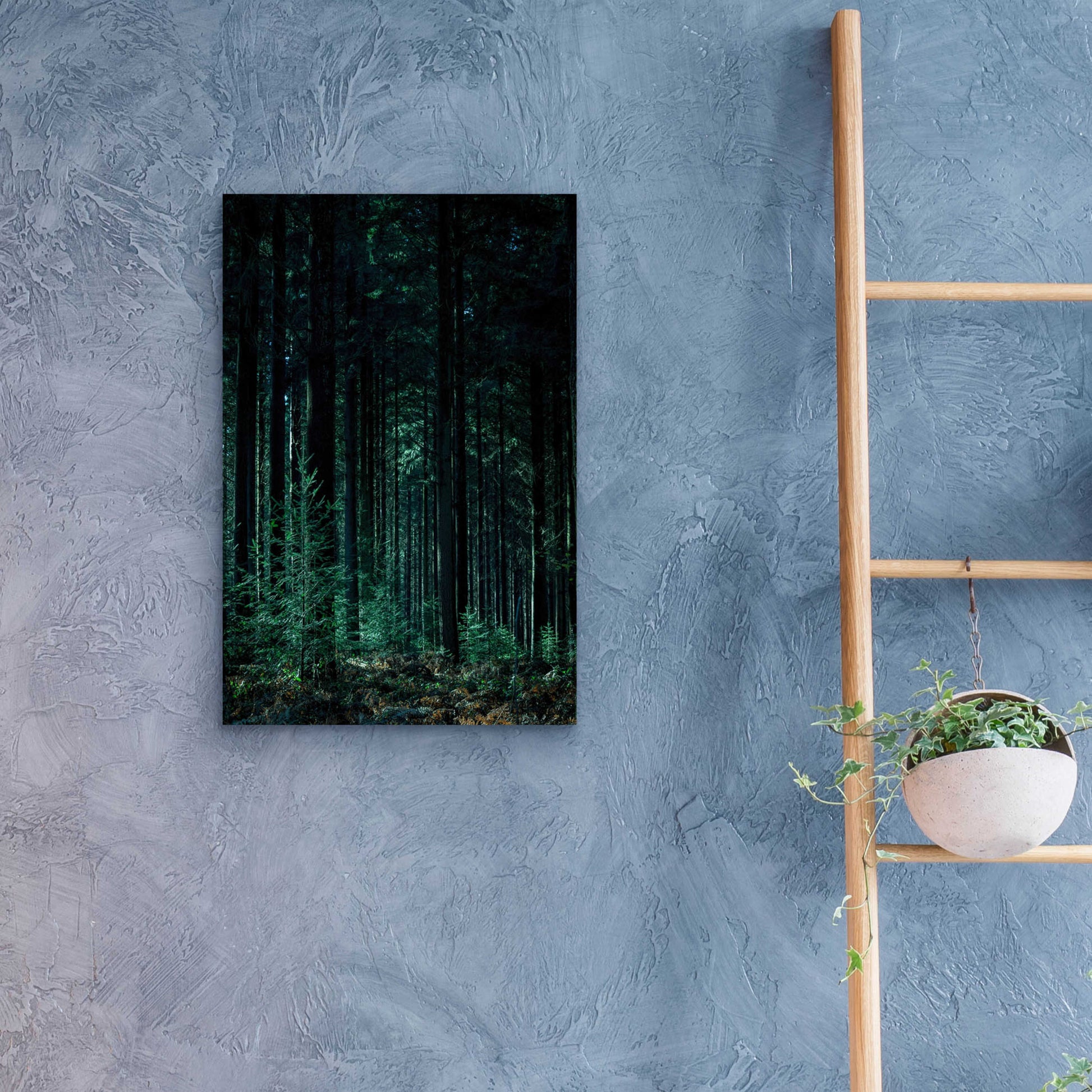 Epic Art 'Deep Green' by Design Fabrikken, Acrylic Glass Wall Art,16x24