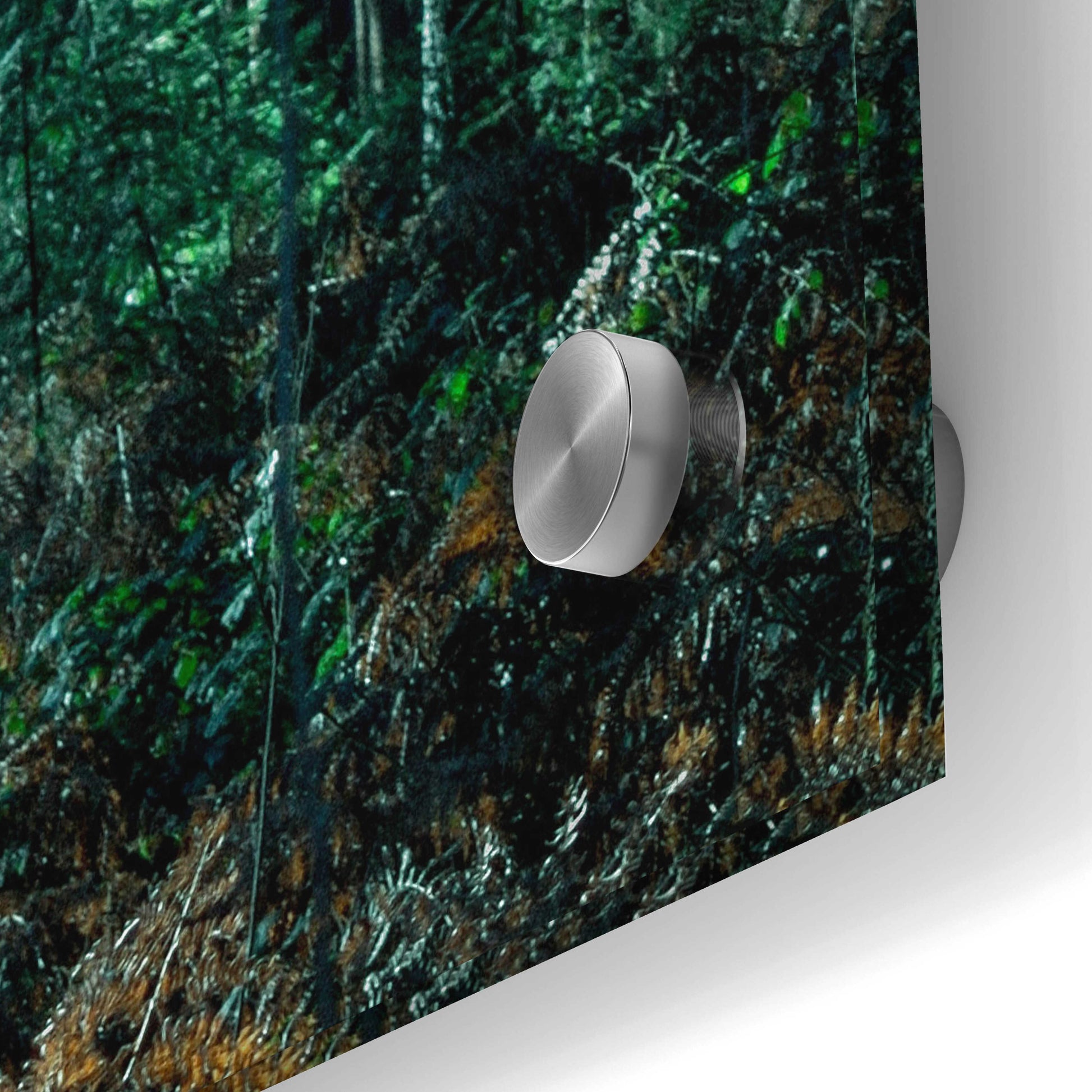 Epic Art 'Deep Green' by Design Fabrikken, Acrylic Glass Wall Art,24x36