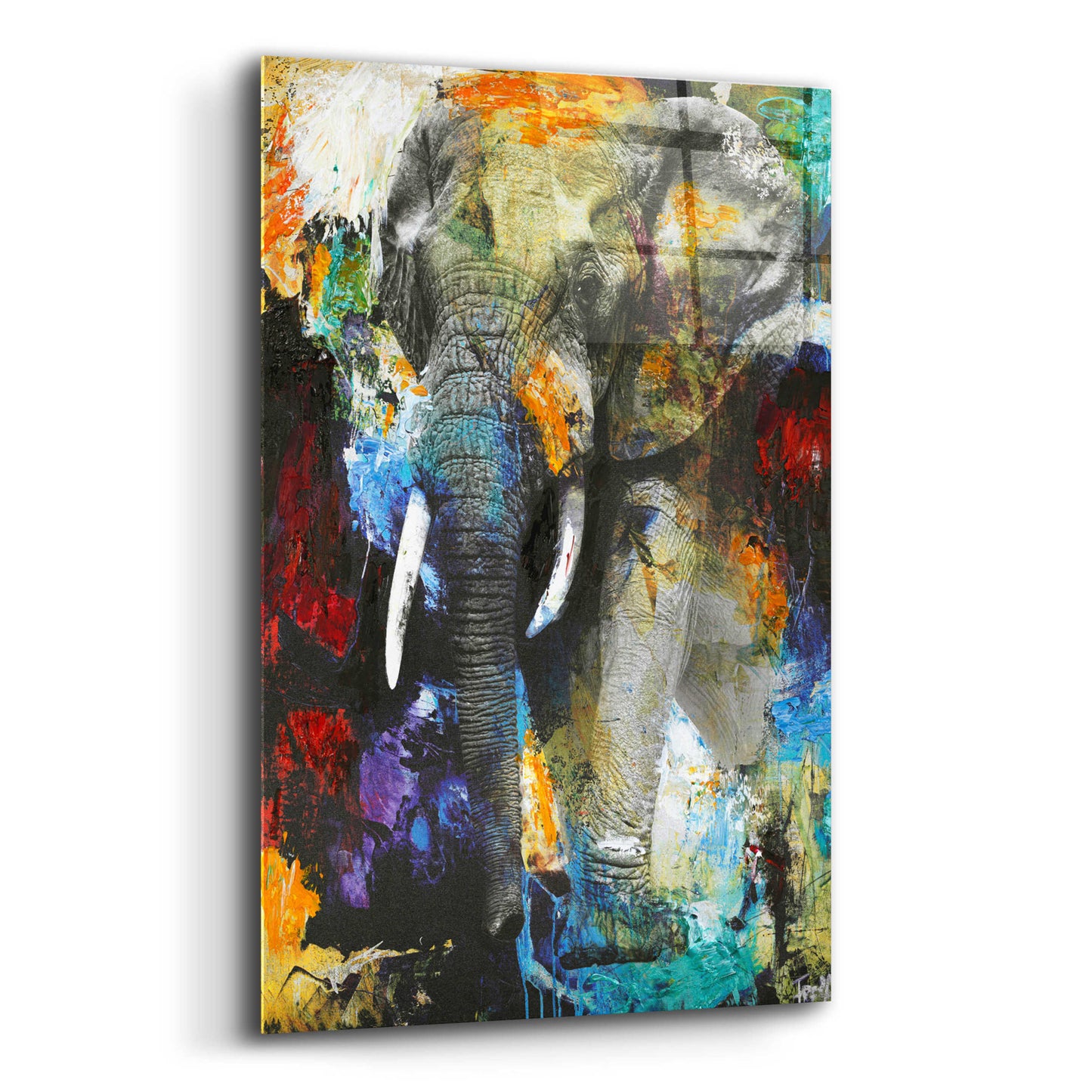 Epic Art 'Elephant' by Design Fabrikken, Acrylic Glass Wall Art,12x16