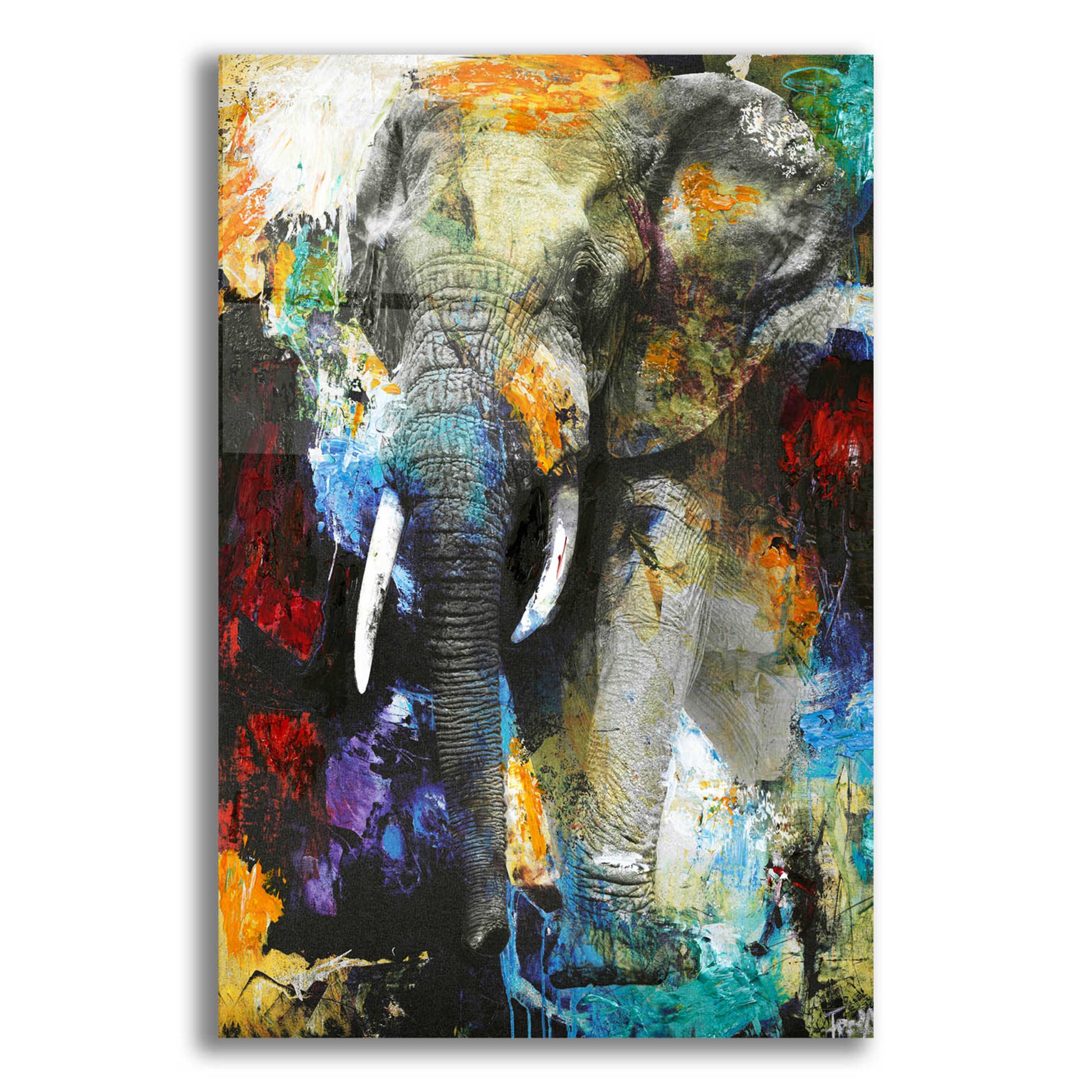 Epic Art 'Elephant' by Design Fabrikken, Acrylic Glass Wall Art,12x16