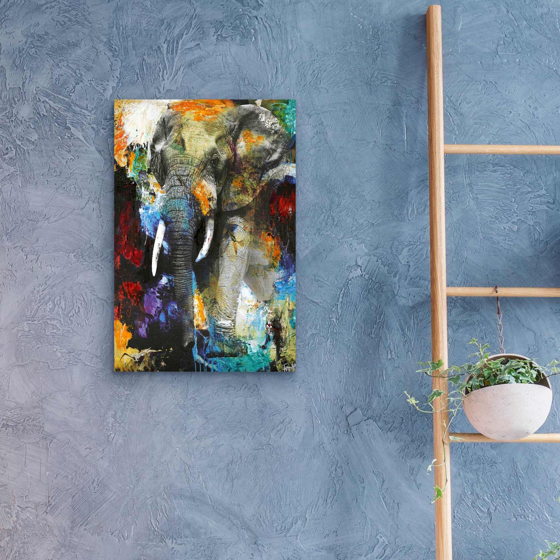 Epic Art 'Elephant' by Design Fabrikken, Acrylic Glass Wall Art,16x24