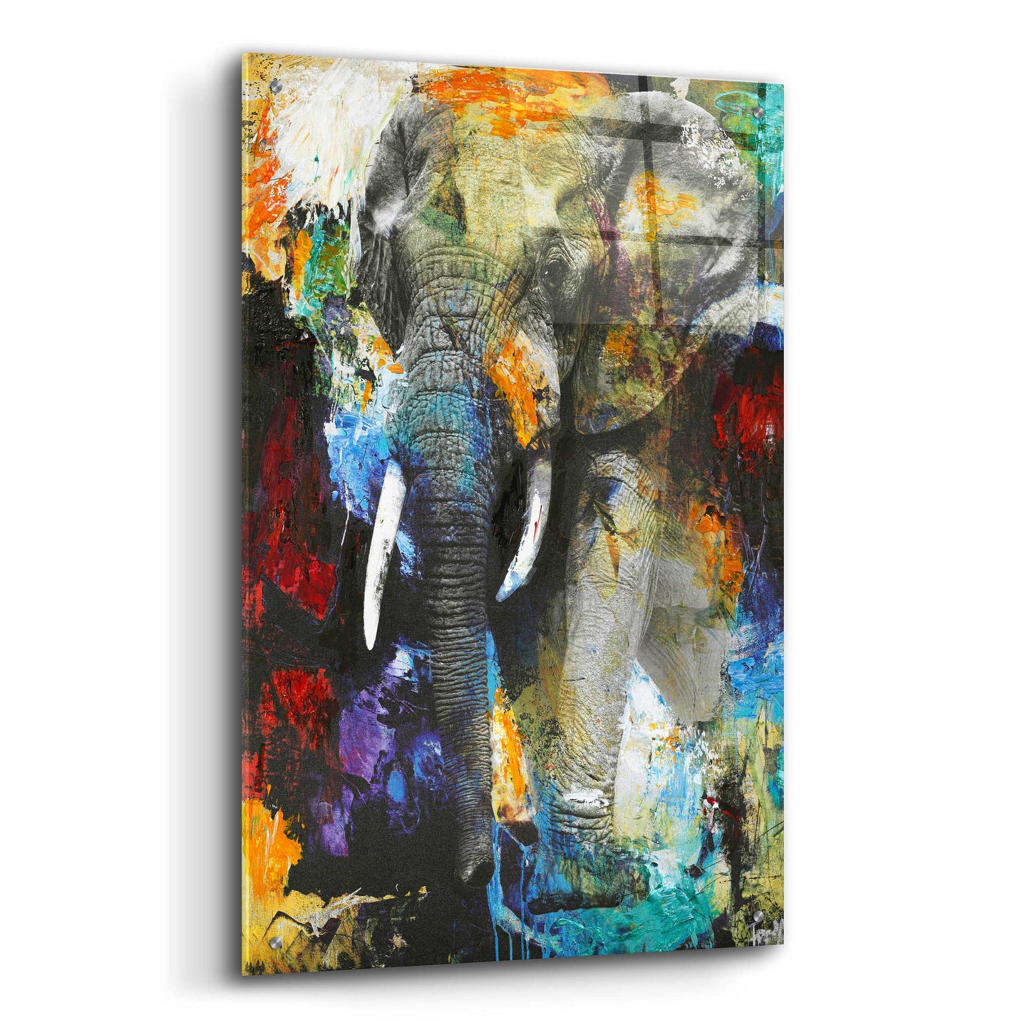 Epic Art 'Elephant' by Design Fabrikken, Acrylic Glass Wall Art,24x36