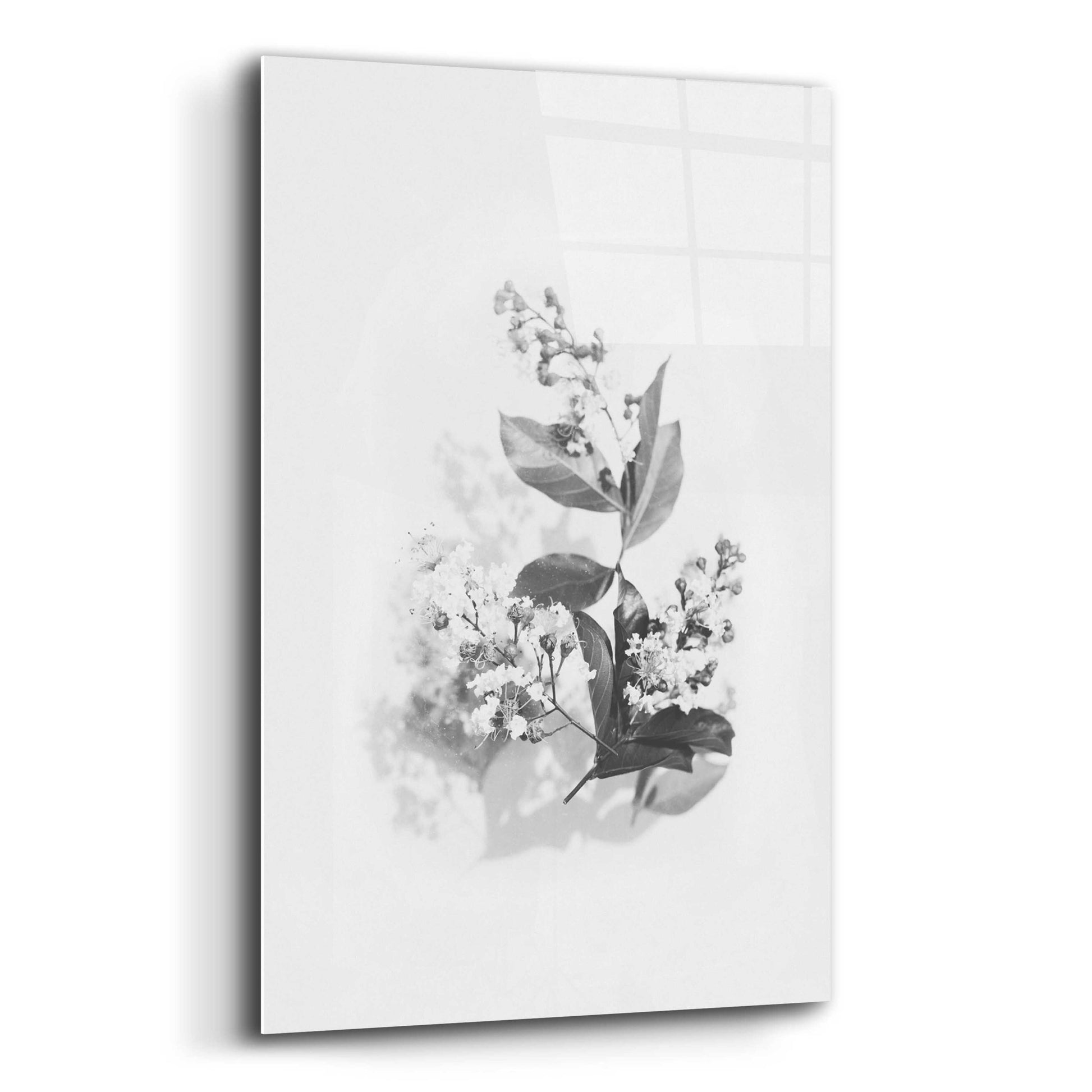 Epic Art 'Evie' by Design Fabrikken, Acrylic Glass Wall Art,12x16