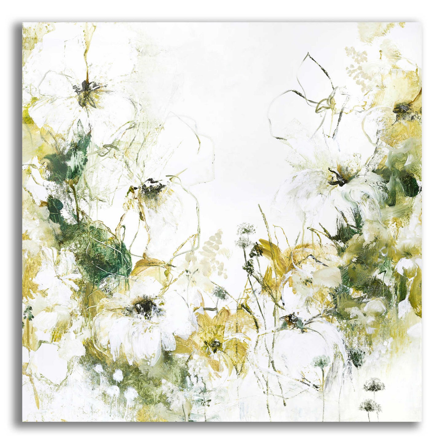 Epic Art 'Flower Blush 3' by Design Fabrikken, Acrylic Glass Wall Art,12x12