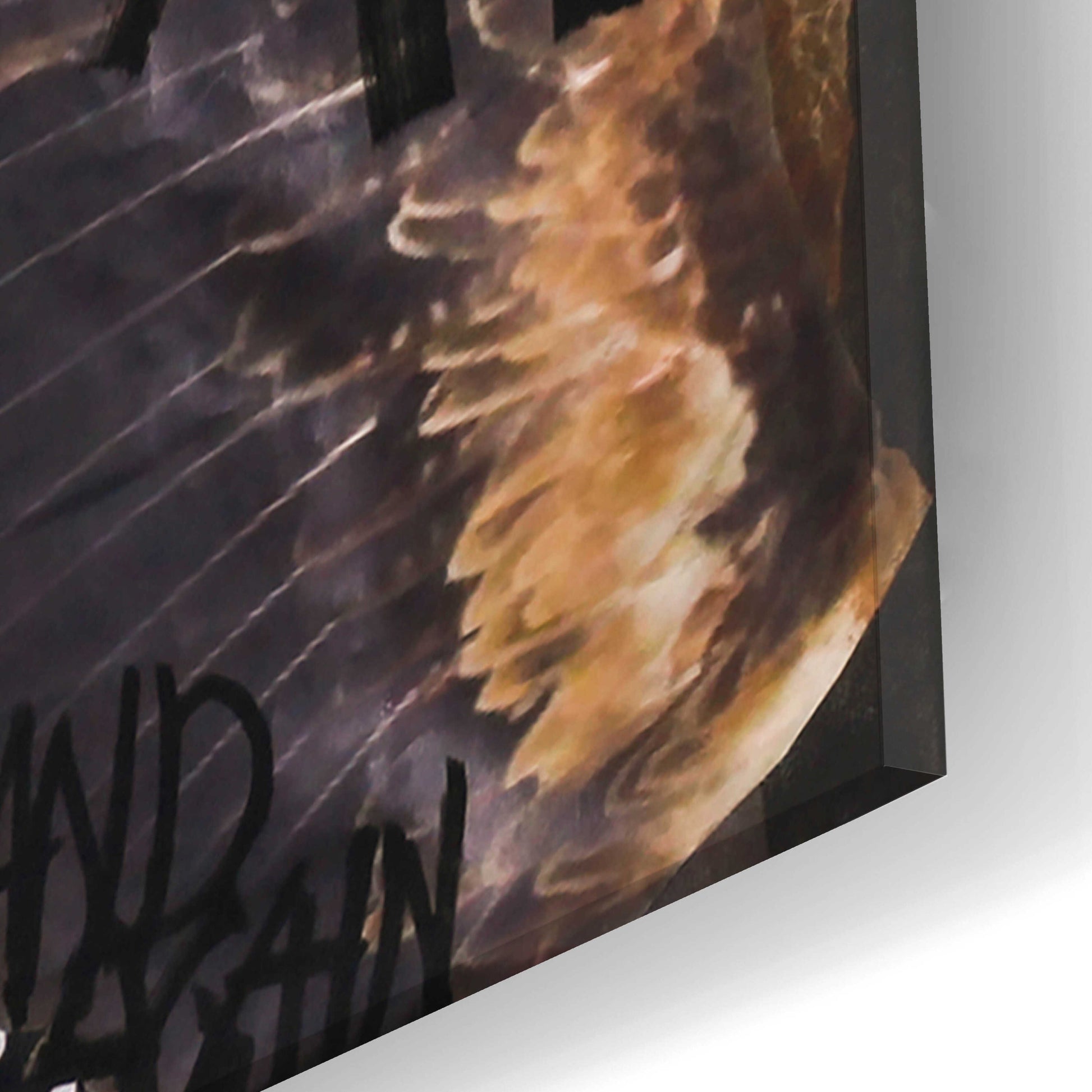 Epic Art 'Fly Again' by Design Fabrikken, Acrylic Glass Wall Art,16x24