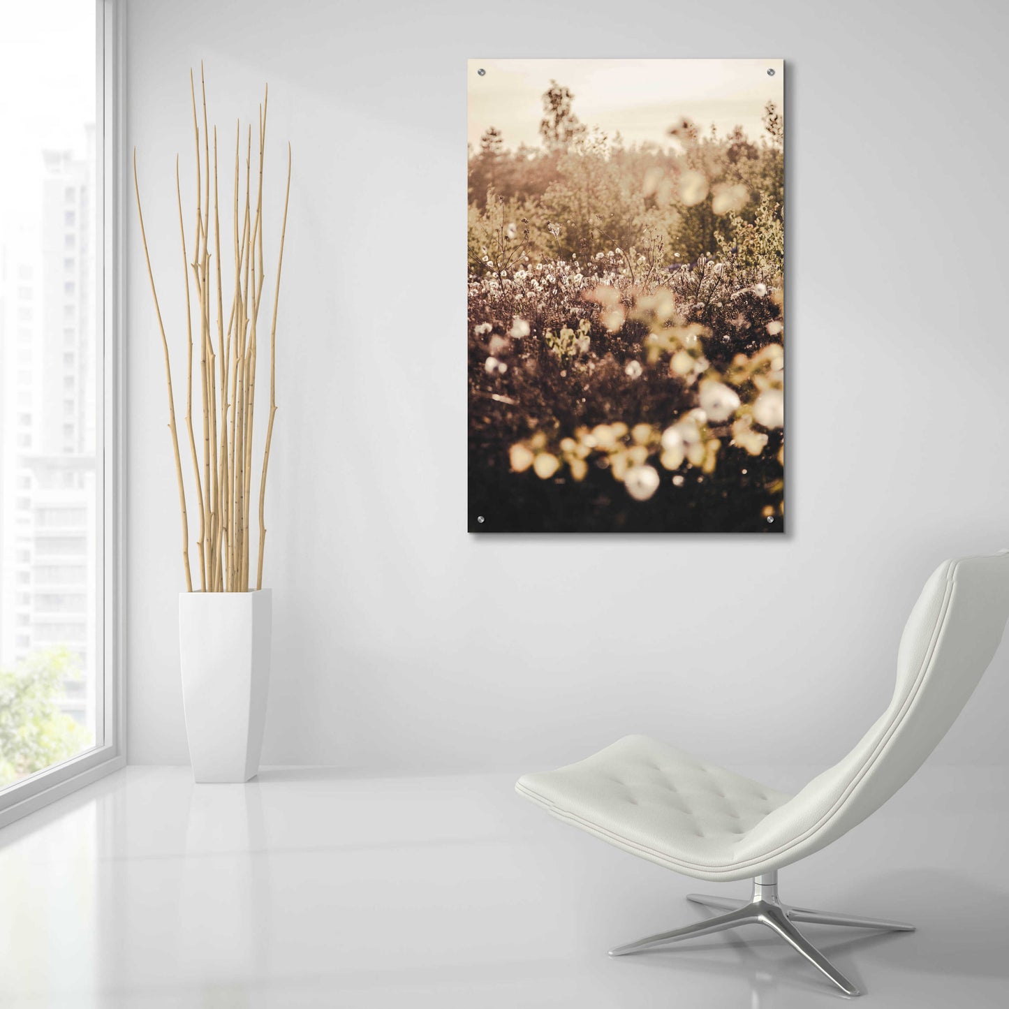 Epic Art 'Golden Field' by Design Fabrikken, Acrylic Glass Wall Art,24x36