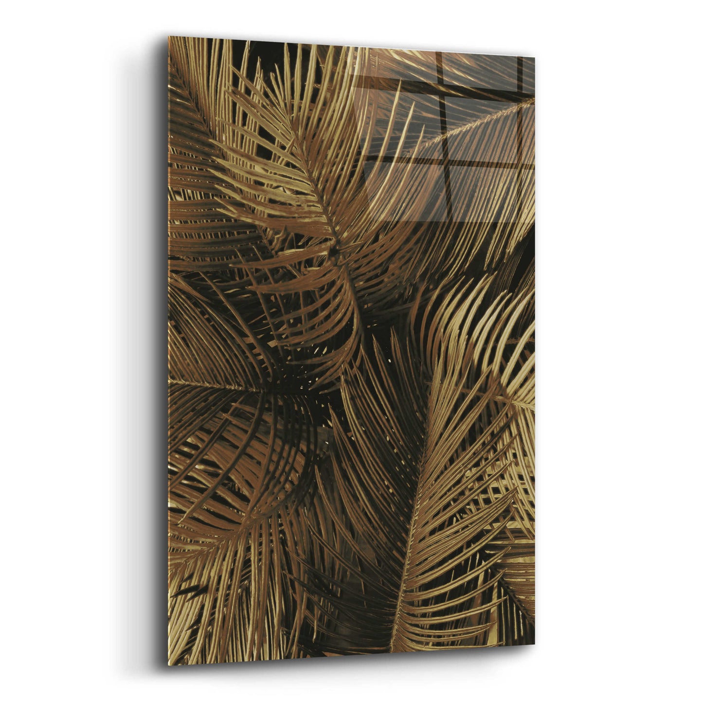 Epic Art 'Golden Palm 2' by Design Fabrikken, Acrylic Glass Wall Art,12x16