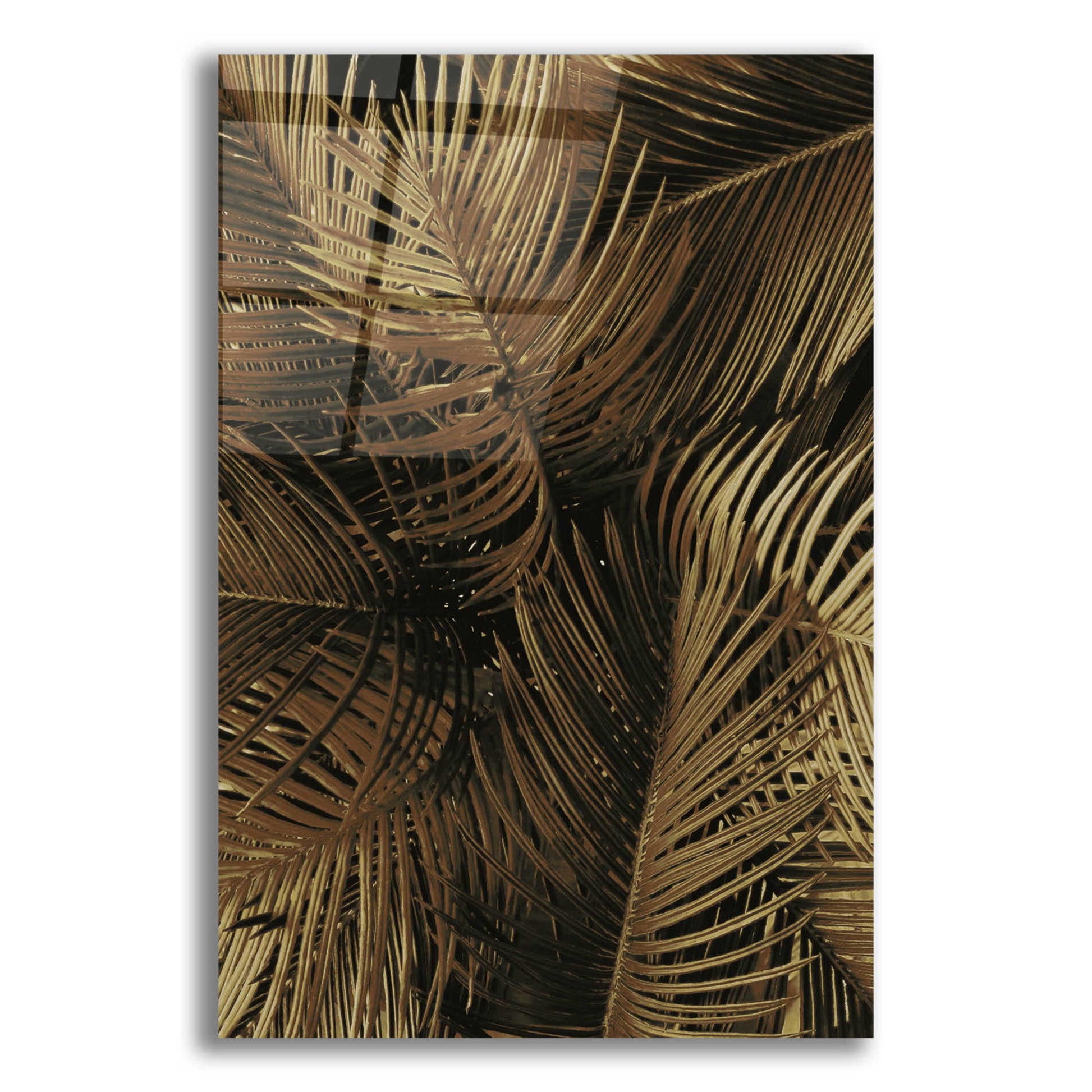 Epic Art 'Golden Palm 2' by Design Fabrikken, Acrylic Glass Wall Art,12x16