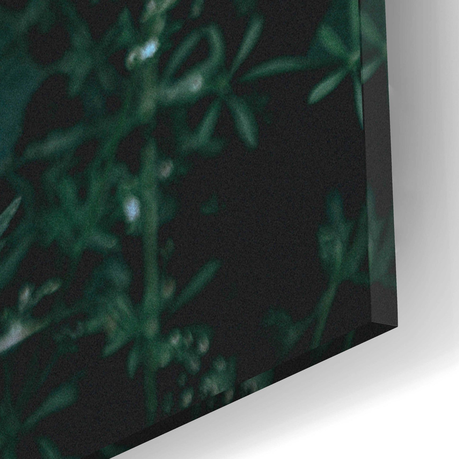 Epic Art 'Greenery' by Design Fabrikken, Acrylic Glass Wall Art,12x16