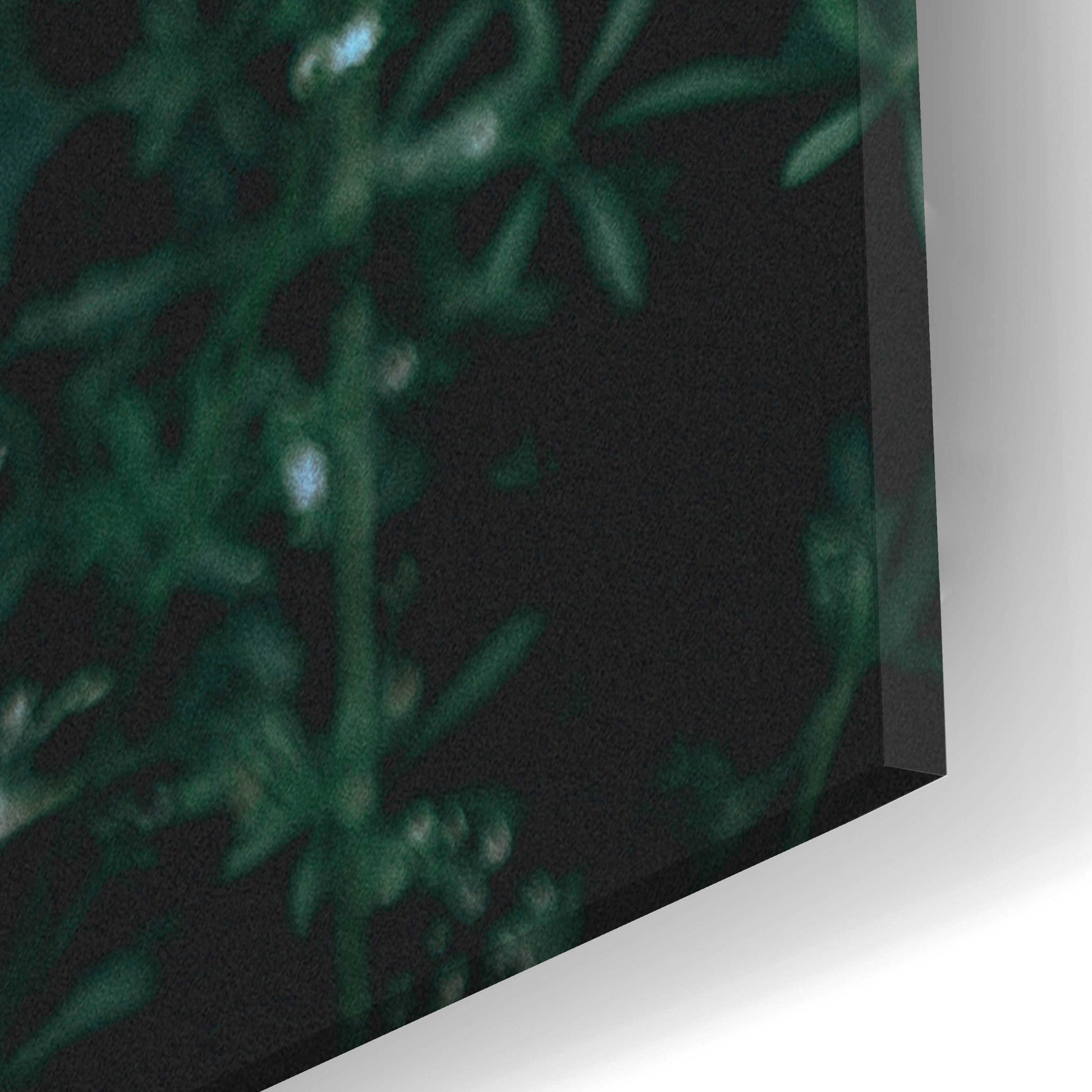 Epic Art 'Greenery' by Design Fabrikken, Acrylic Glass Wall Art,16x24