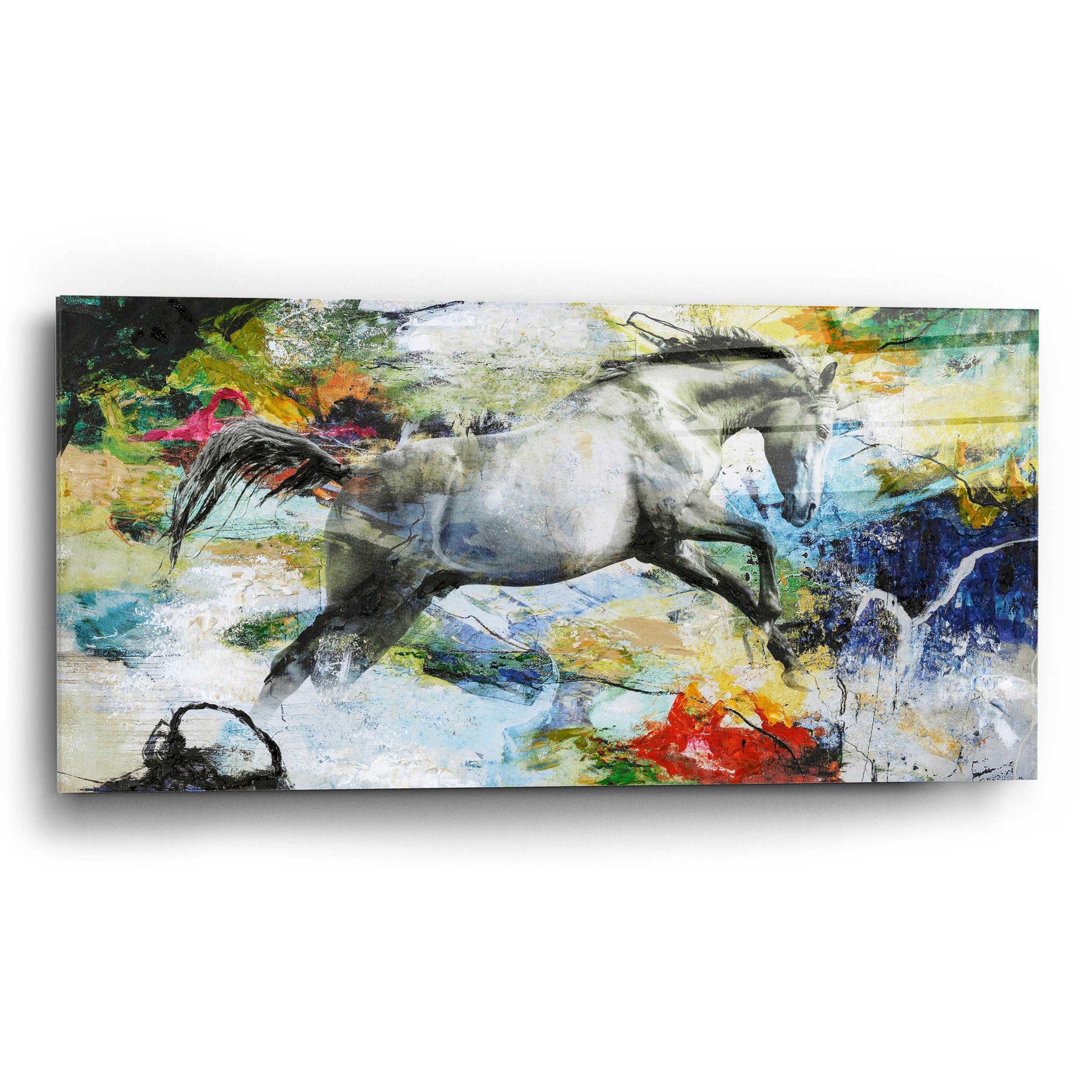 Epic Art 'Horse' by Design Fabrikken, Acrylic Glass Wall Art,24x12