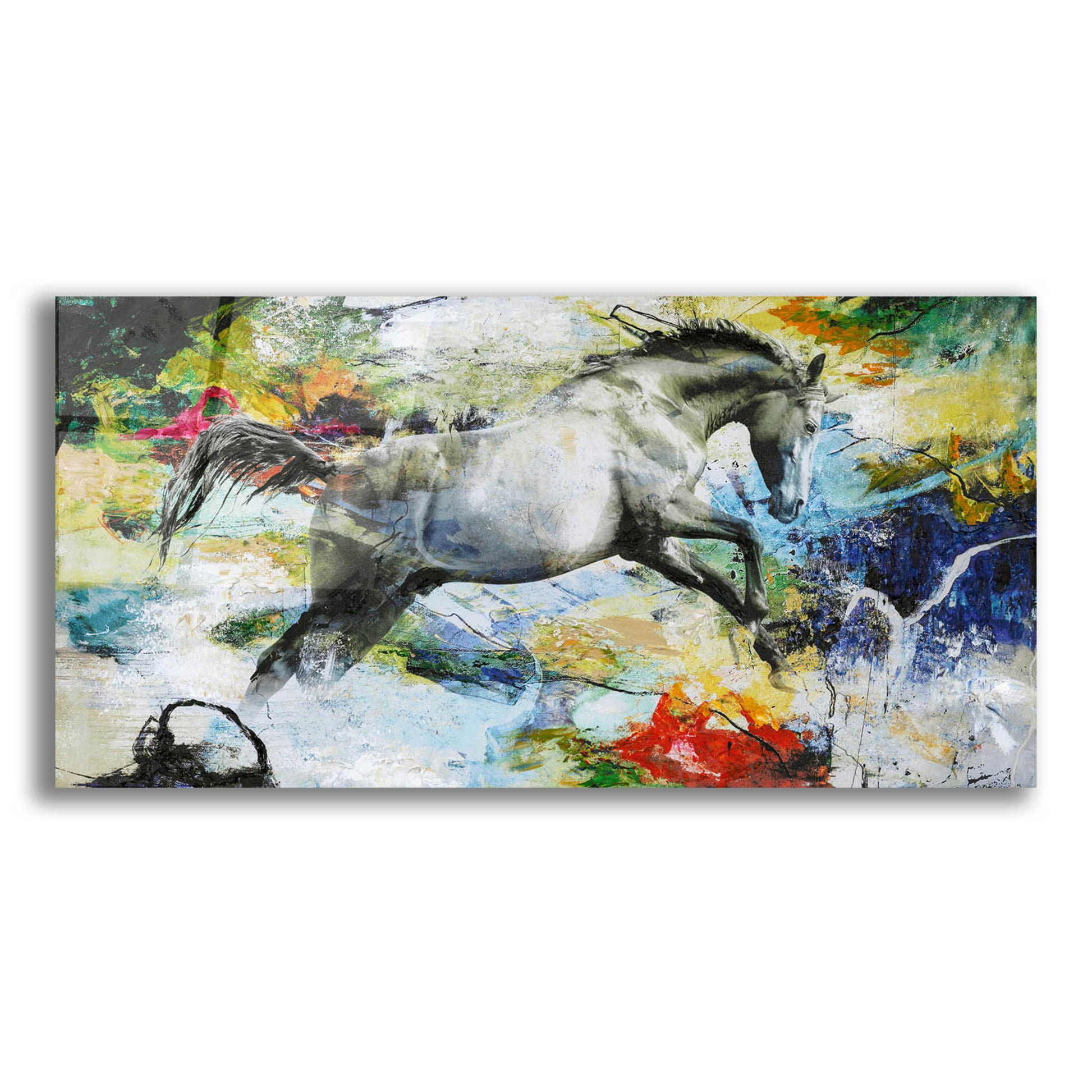 Epic Art 'Horse' by Design Fabrikken, Acrylic Glass Wall Art,24x12